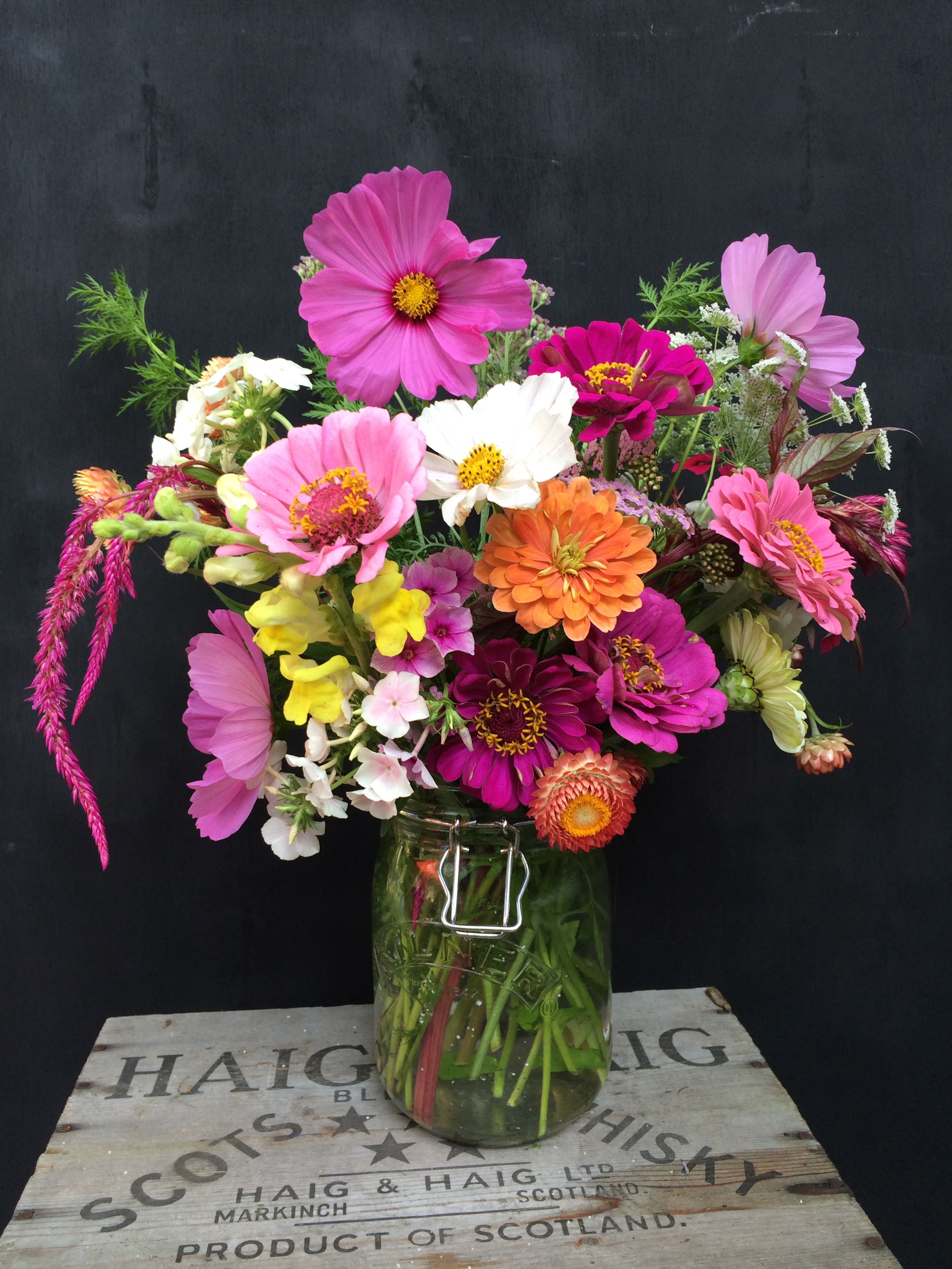 Cut Flower Bouquet : Celosia, Cosmos, Sweet Annie, Zinnia, Ammi ...