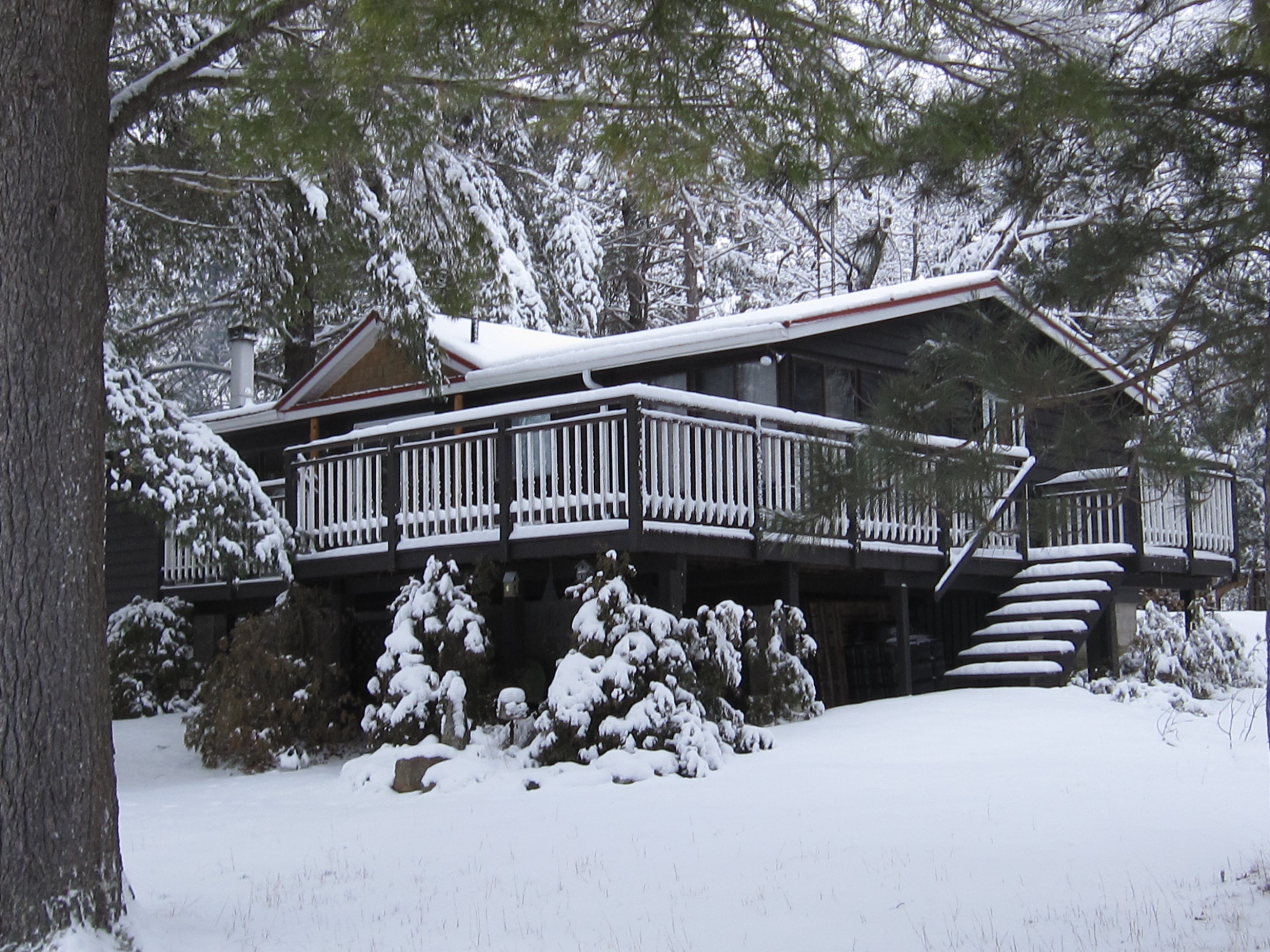 Cottage in winter photo