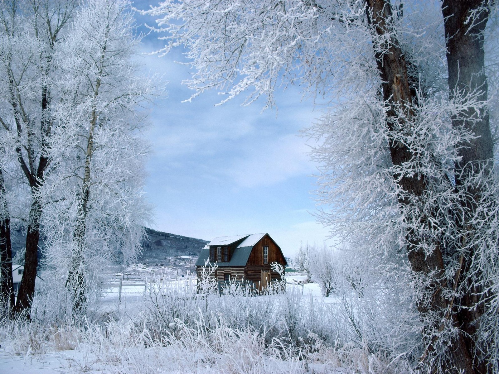 Summer cottage in the winter / 1600 x 1200 / Forest / Photography ...