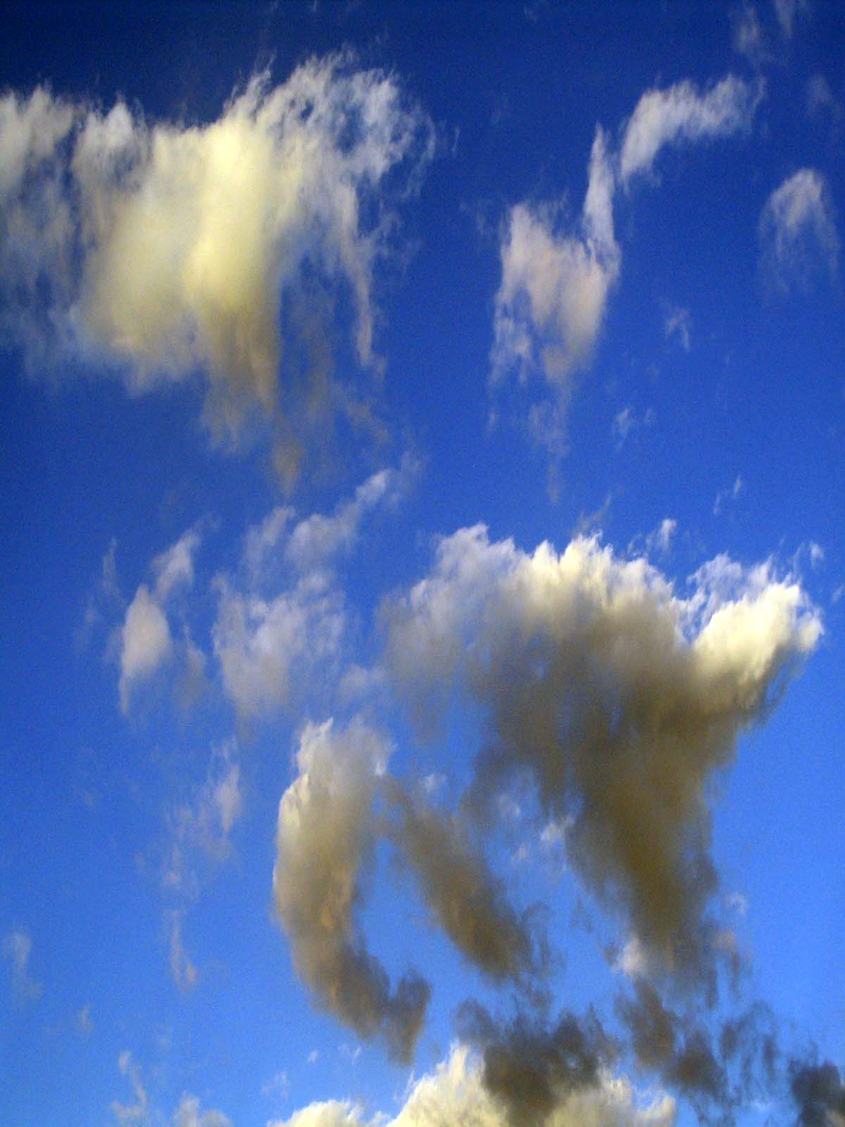 Cotton sky photo