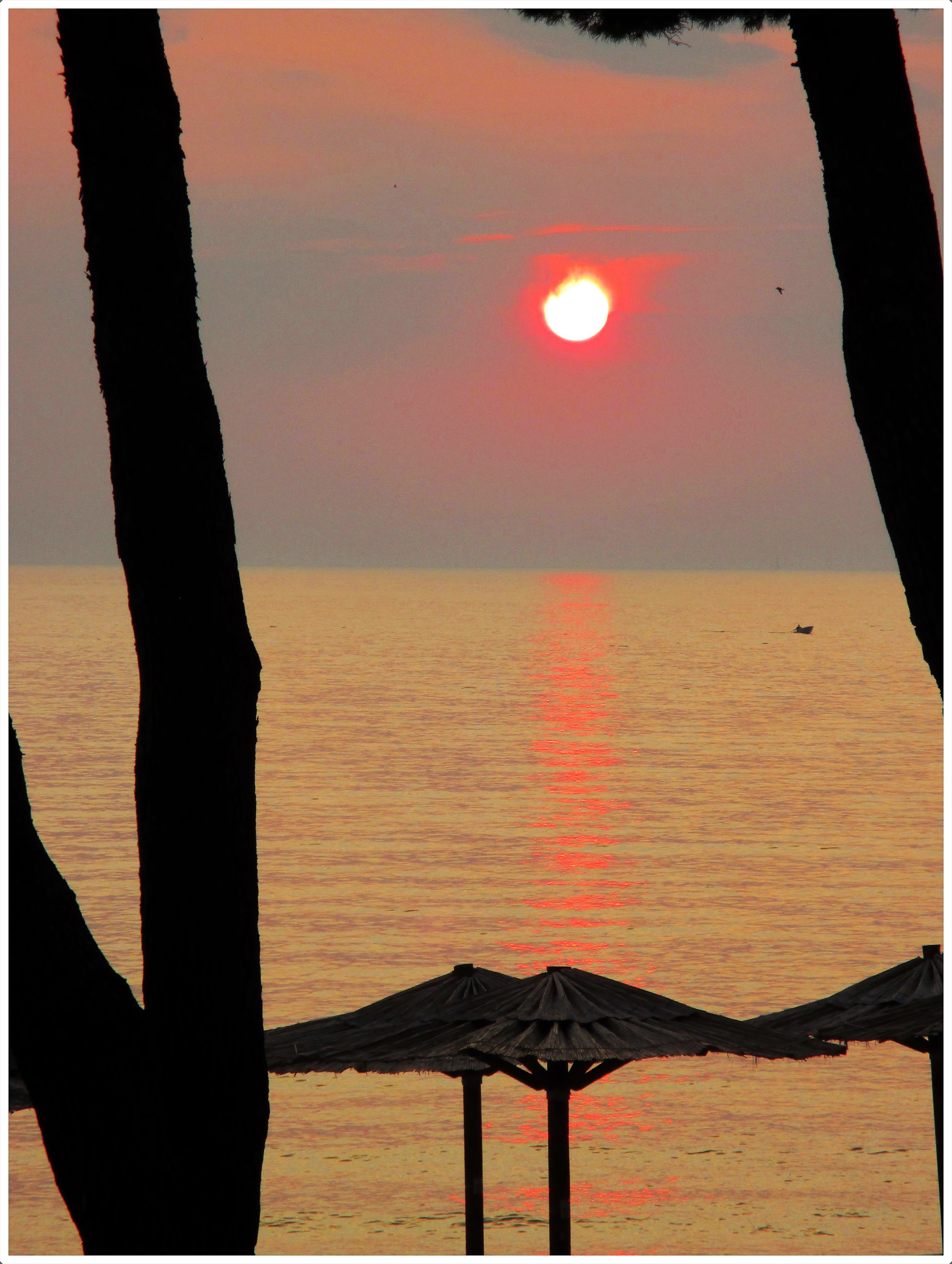 Coucher de soleil sur l'adriatique photo