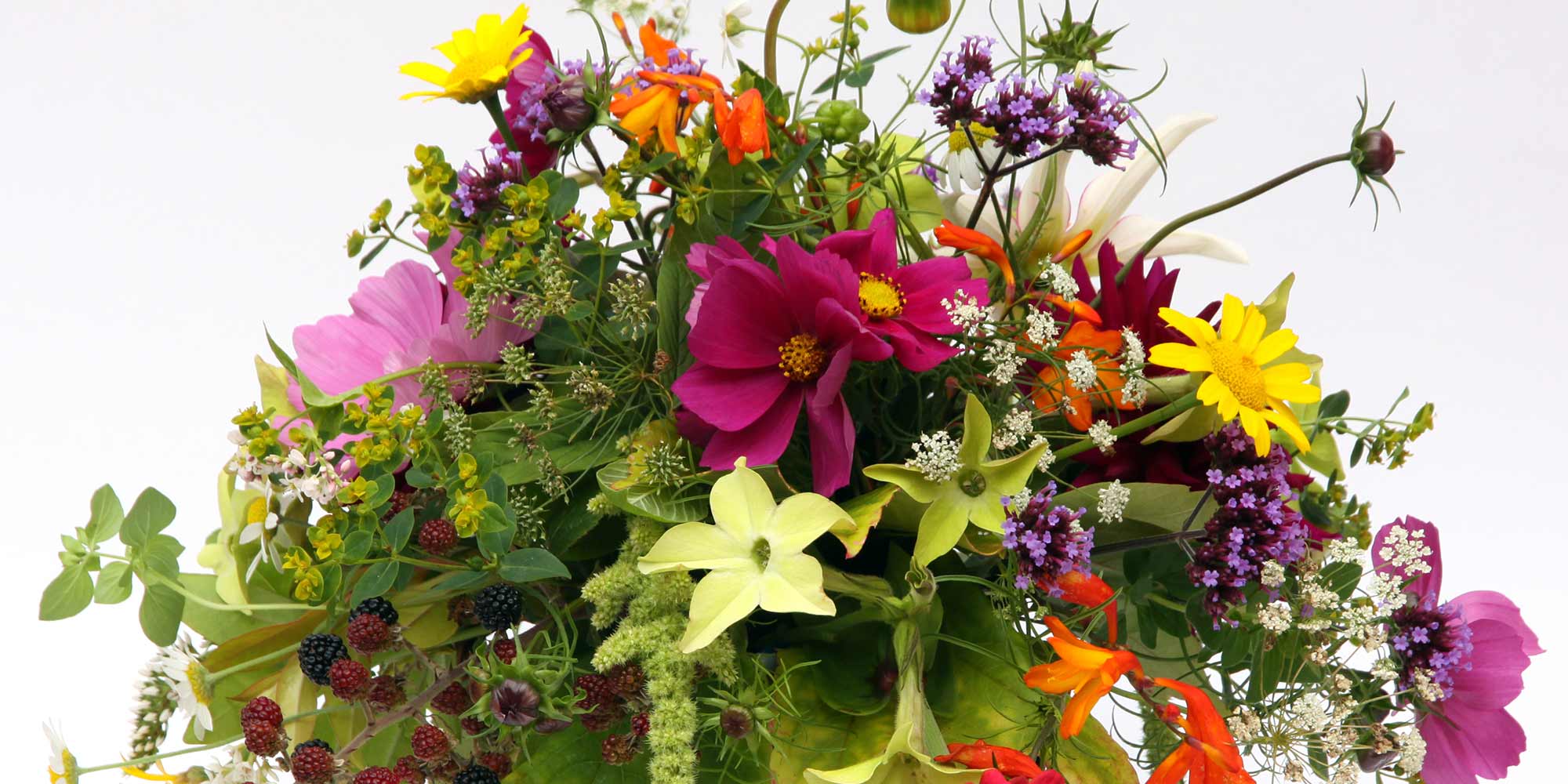 Cotswold Country Flowers | Beautiful, fresh, vibrant flowers from my ...