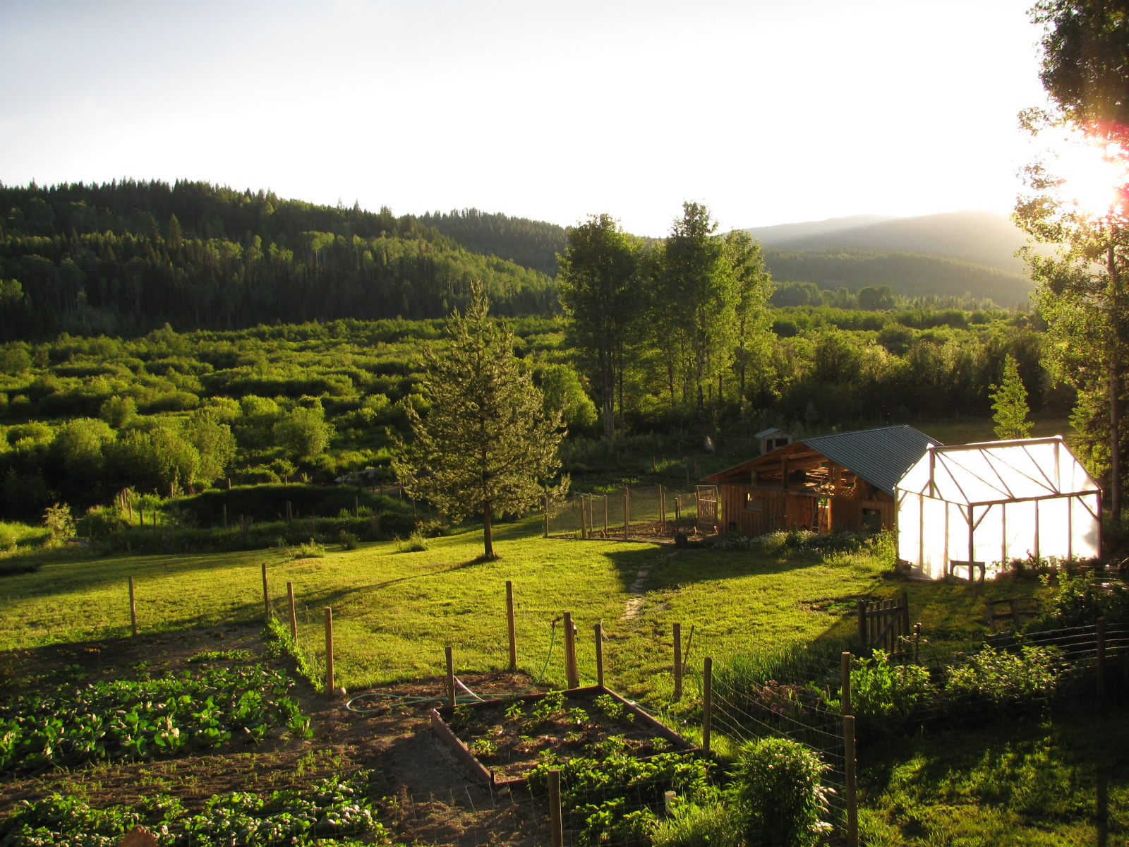 Country Living and Garlic Farming in BC