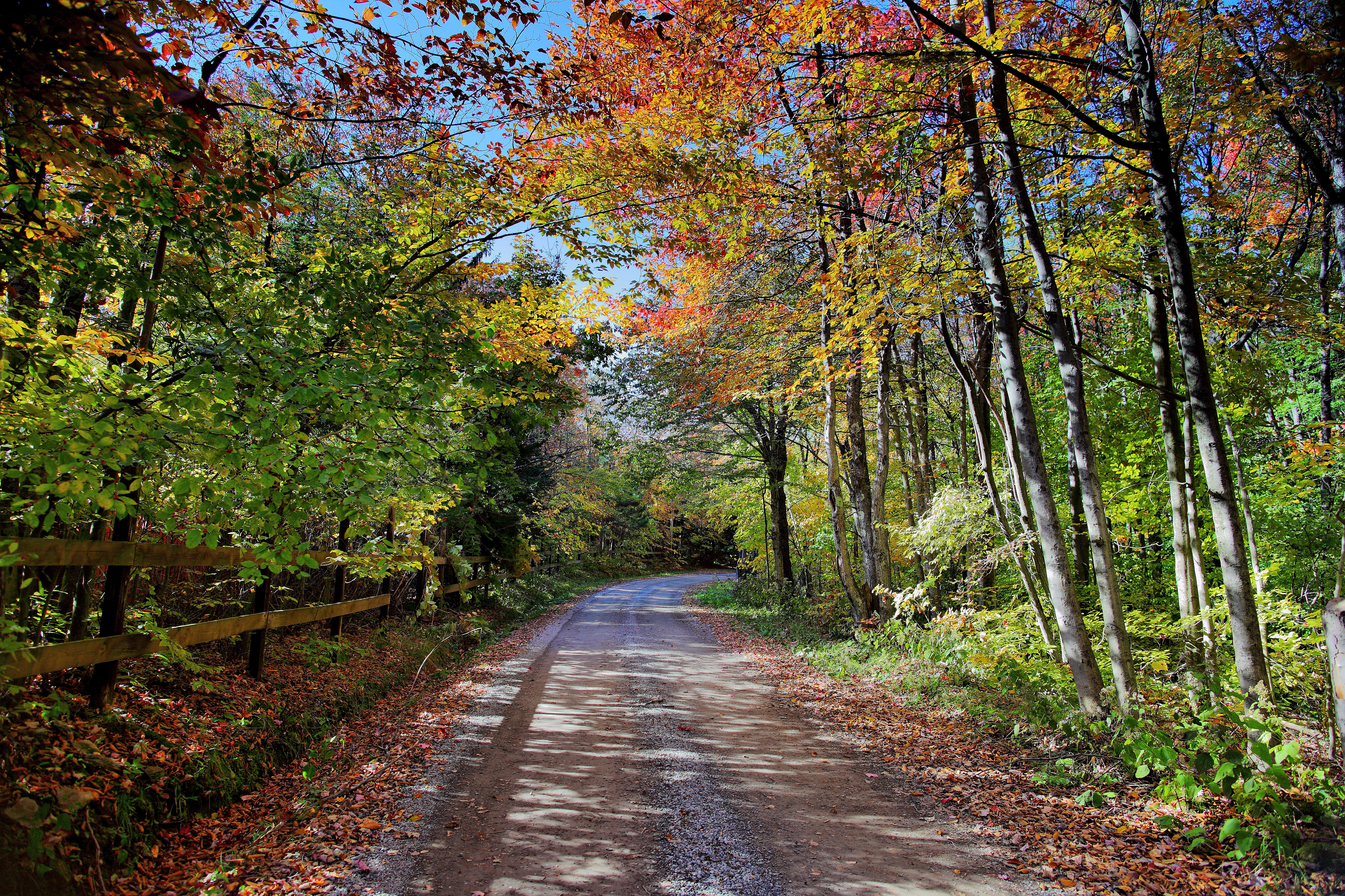 File:Autumn-trees-country-road-fence - ForestWander.jpg - Wikimedia ...