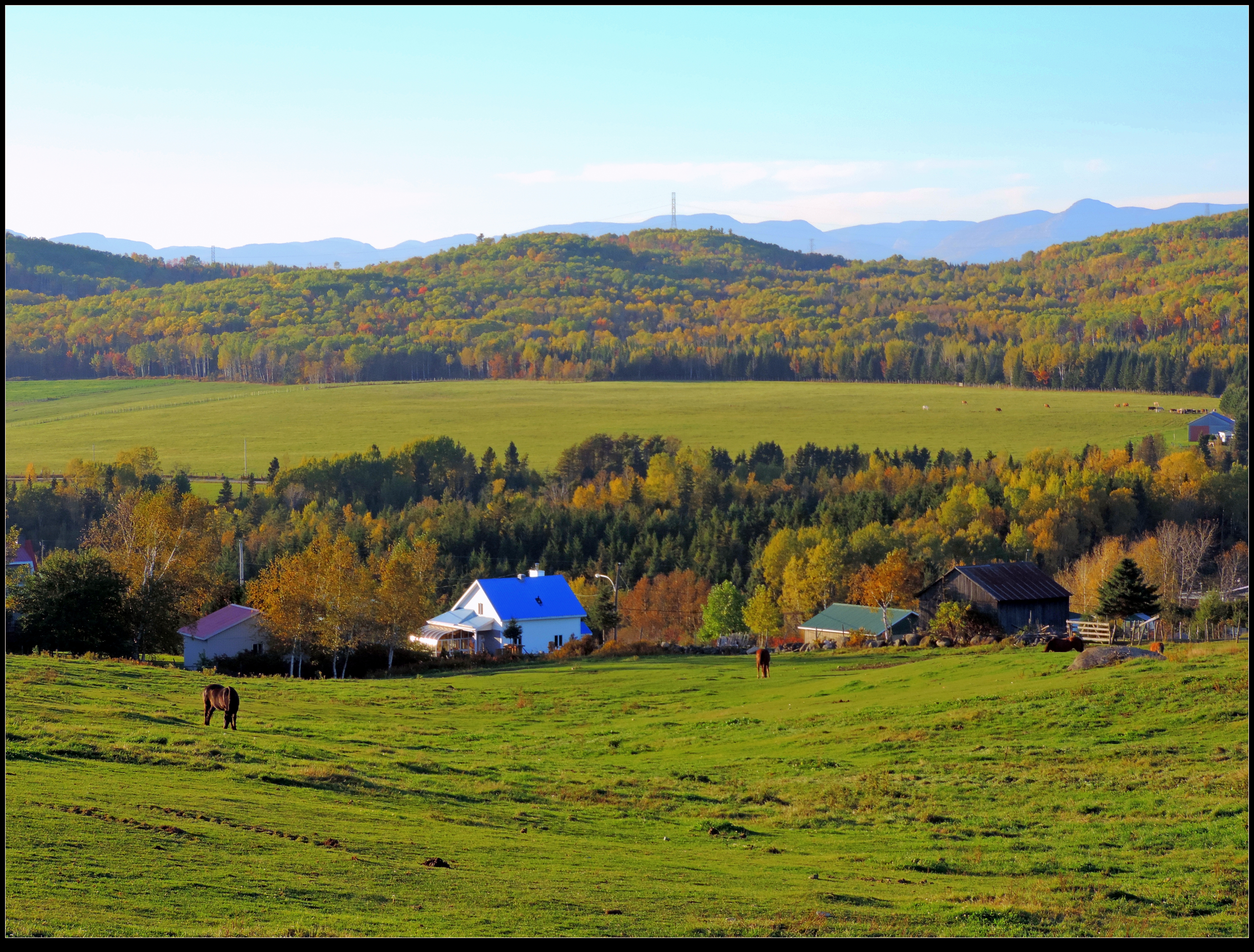 Country Scene in Fall by JocelyneR on DeviantArt