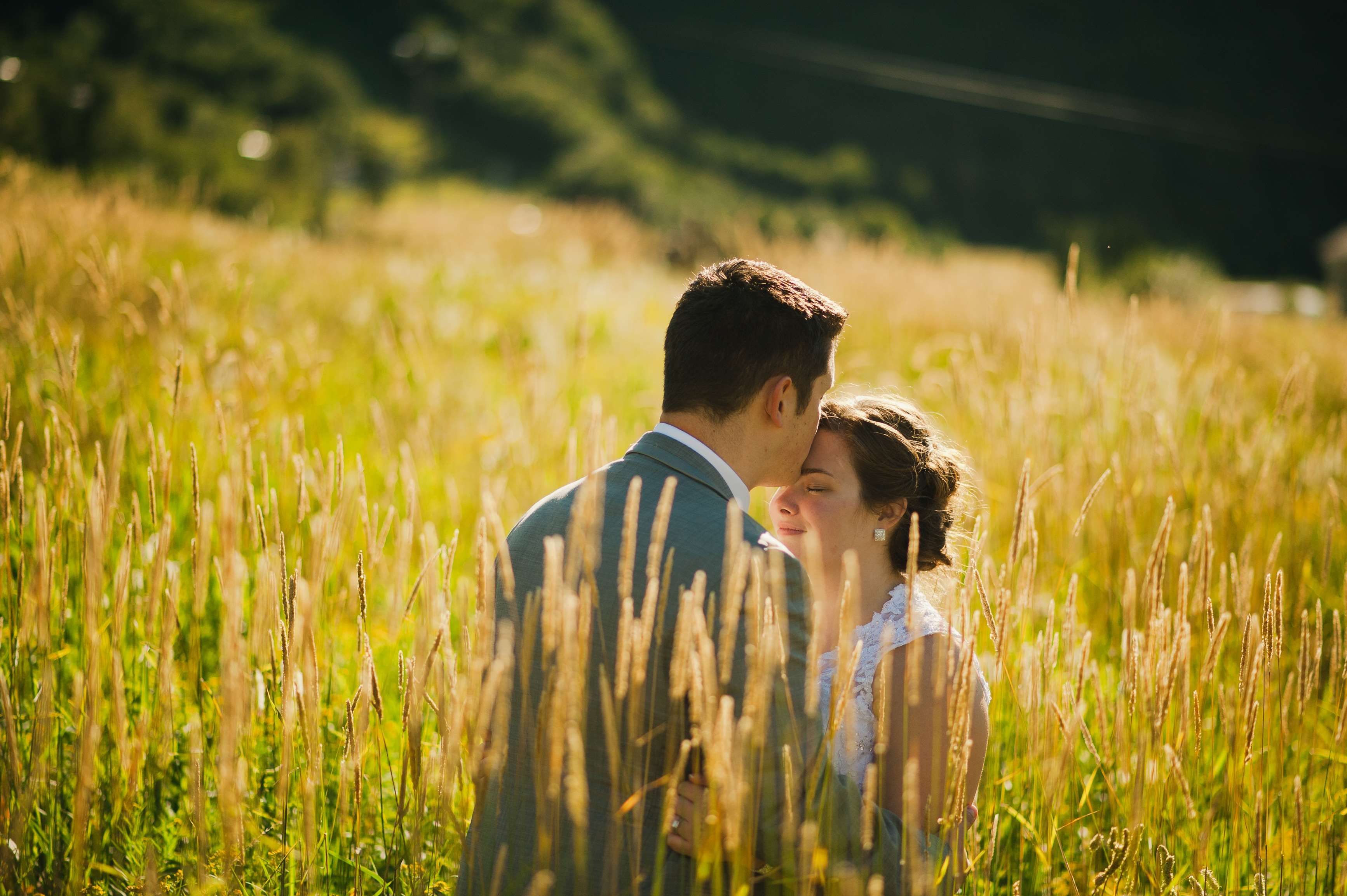 blur #care #close up #countryside #couple #farm #field #focus #grass ...