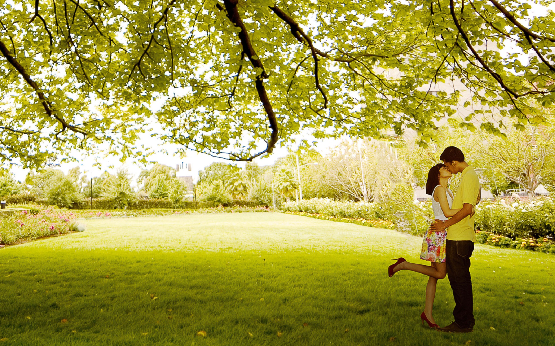 Kissing couple in park | HD Wallpapers Rocks
