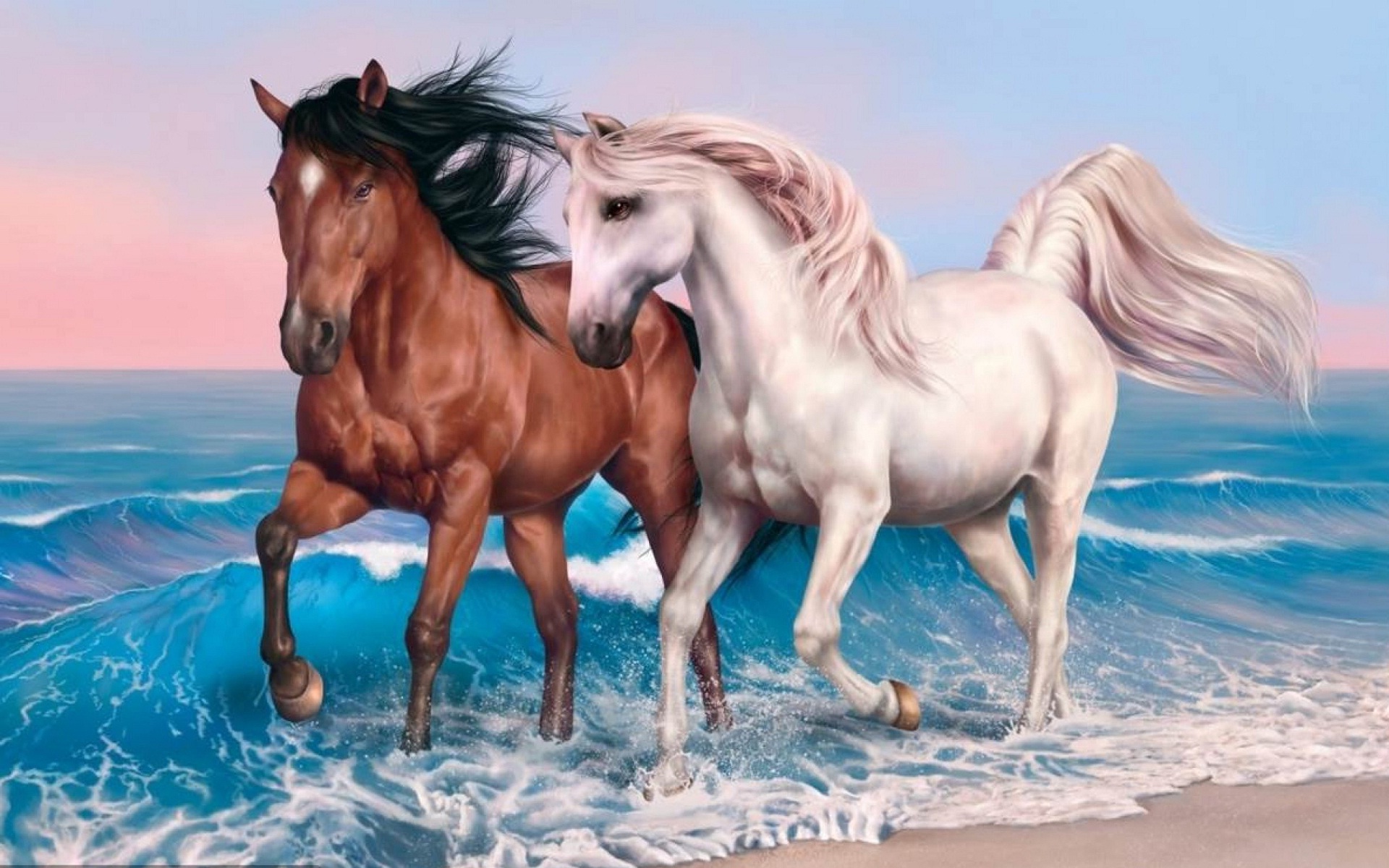 Horse Couple Running On The Beach Hd Photos Images Of White Horses ...
