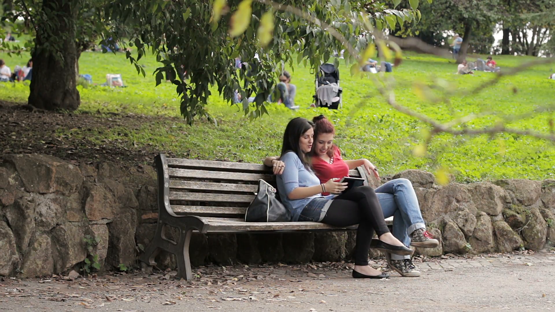 Lesbian couple sit on bench in the park watching tablet Stock Video ...