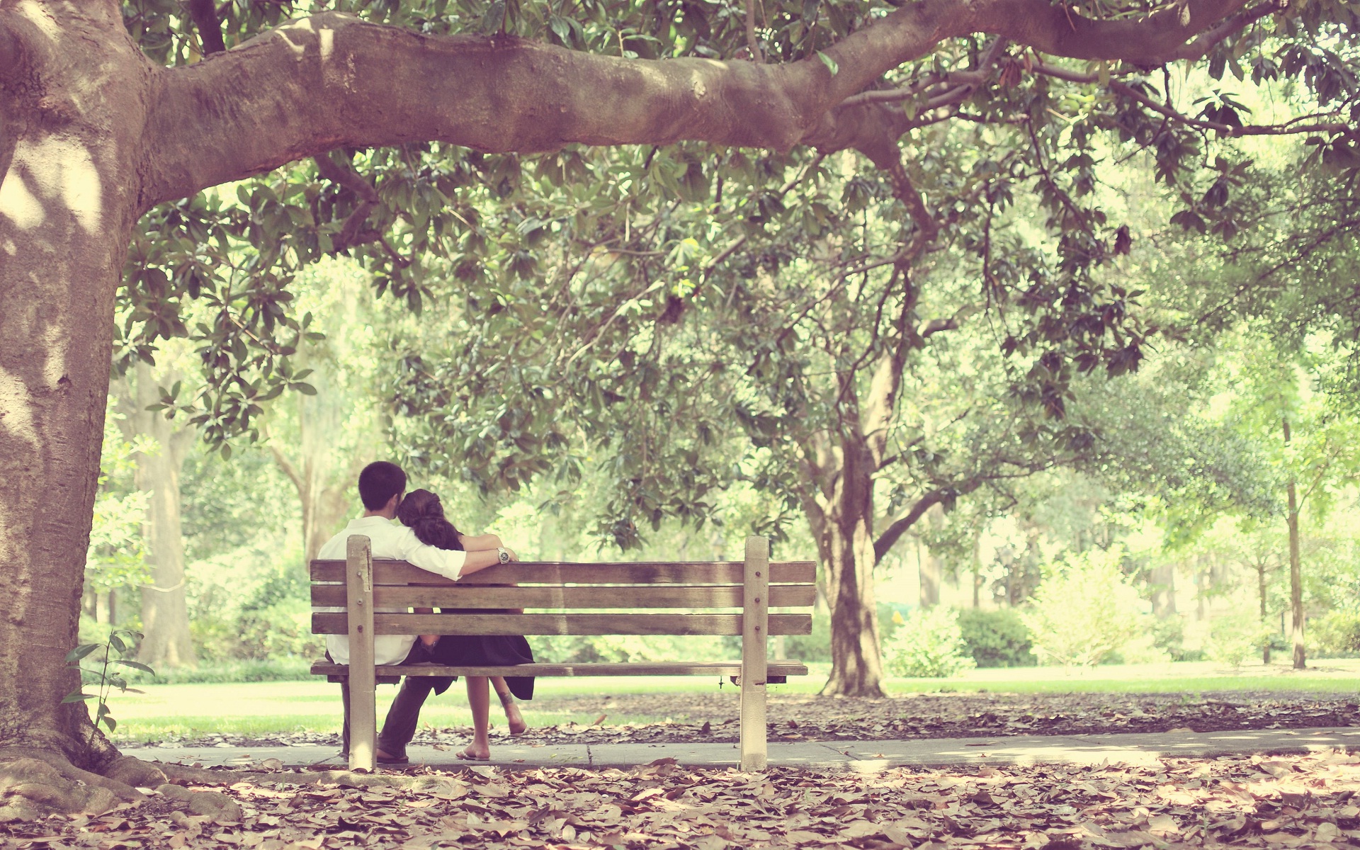 romance-of-new-couple-on-bench-in-garden | HD Wallpapers Rocks