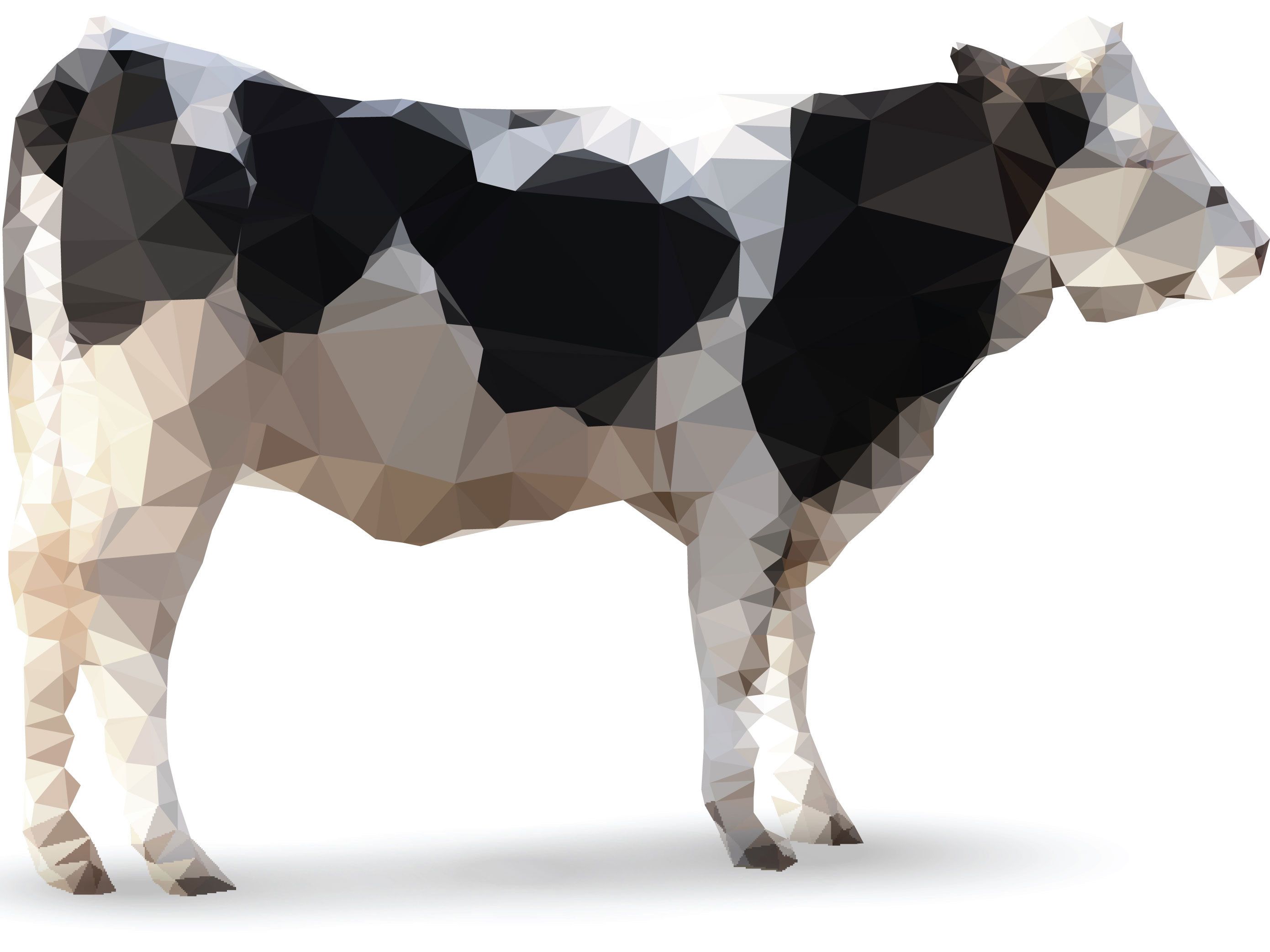 How Science Will Make Cows Obsolete | Popular Science