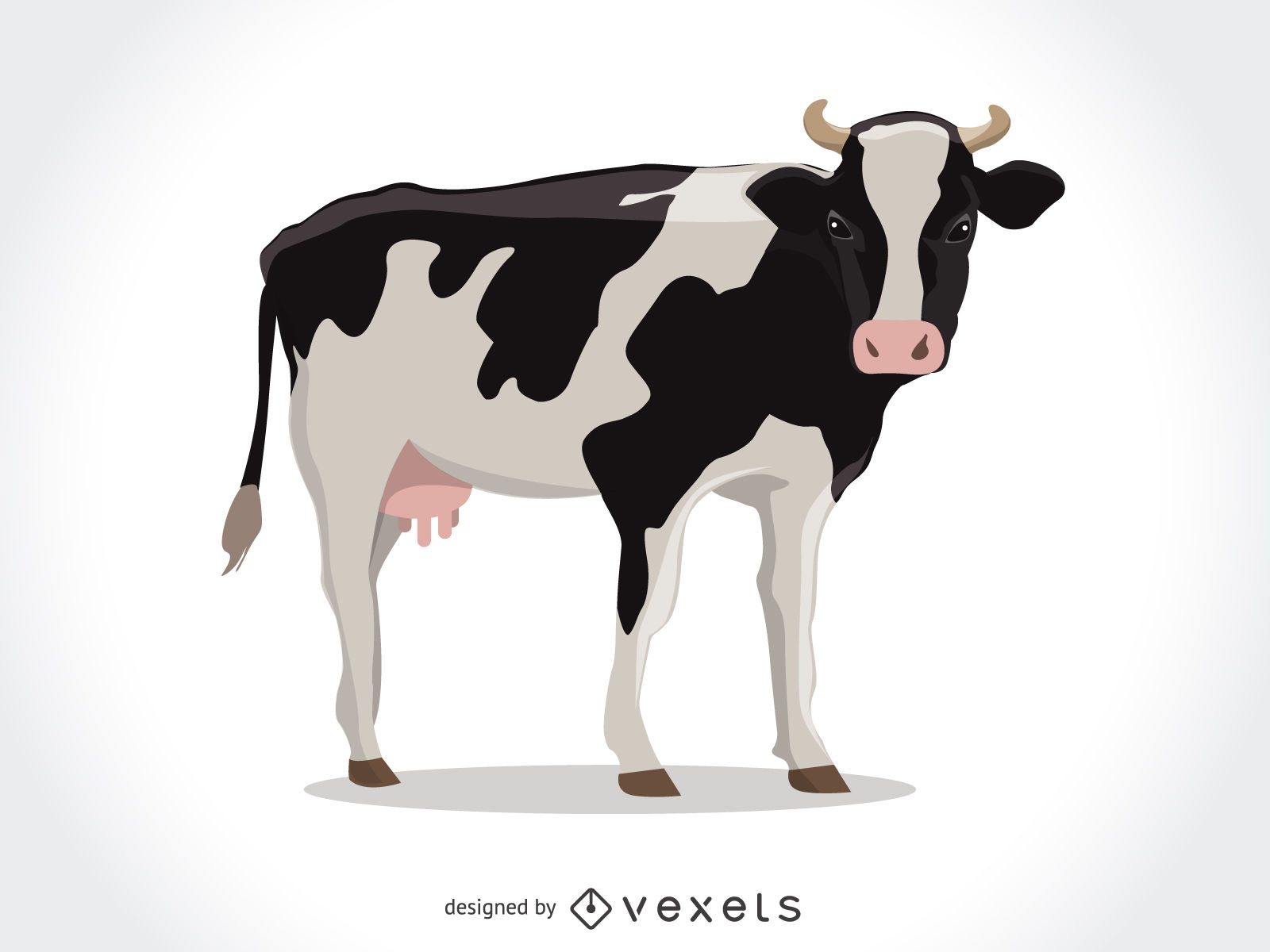 Isolated cow illustration - Vector download