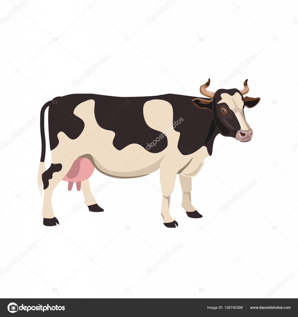 Spotted cow vector — Stock Vector © newgena #156740386