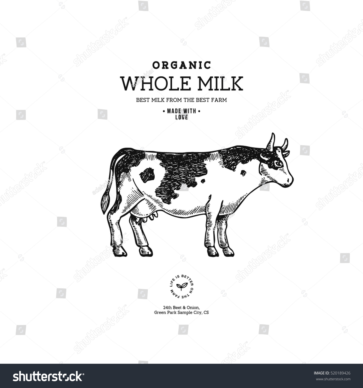 Farm Cow Vintage Logo Cow Illustration Stock Vector 520189426 ...