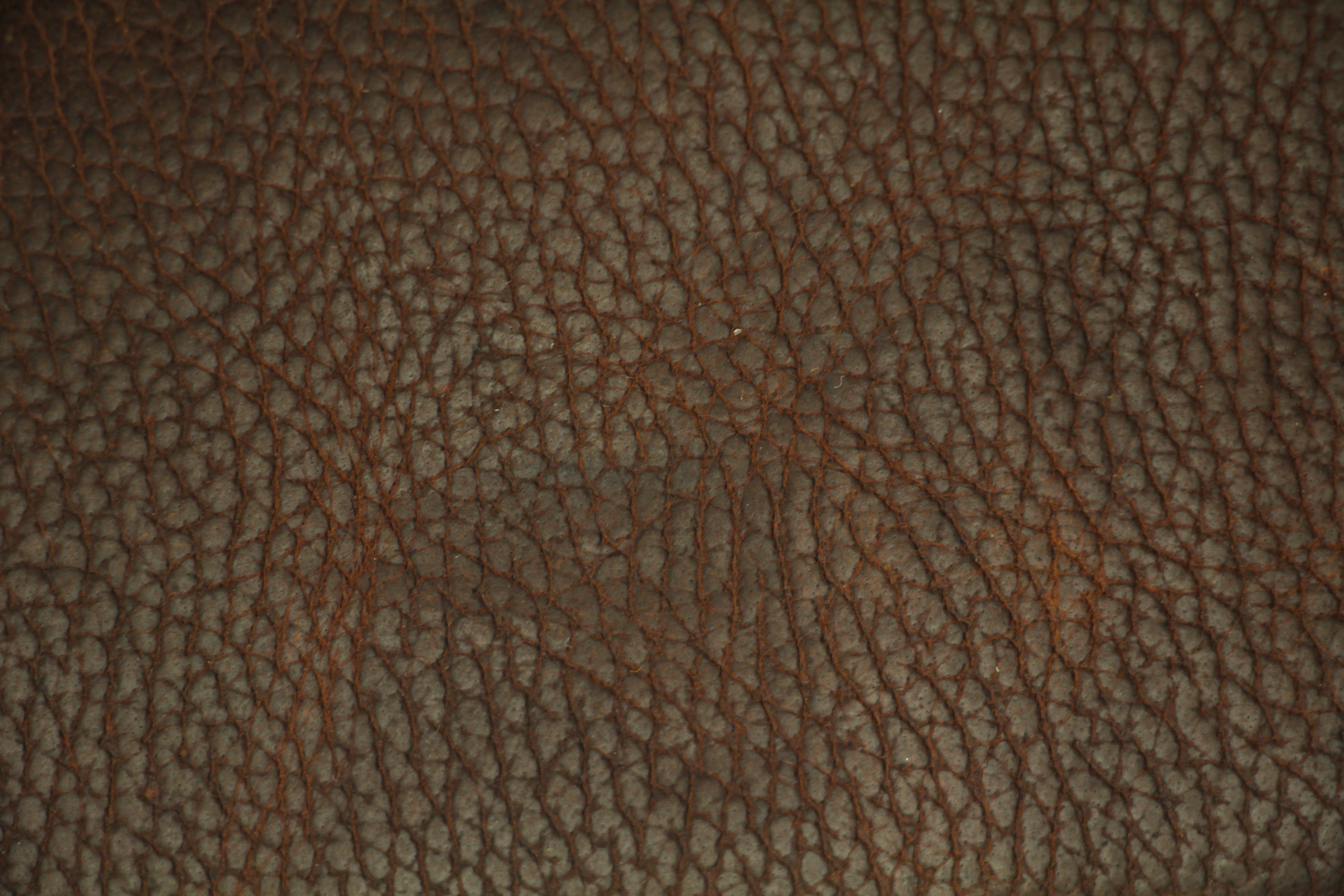 Cow leather texture photo