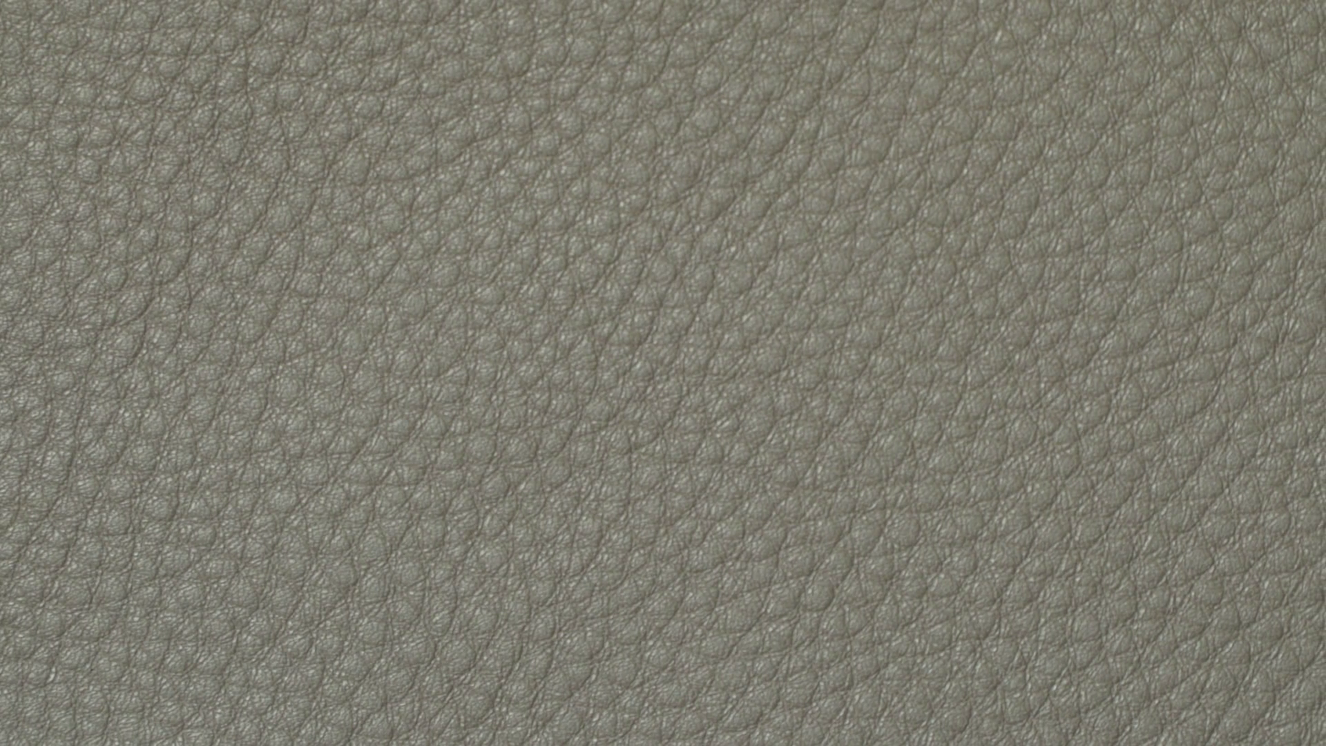 Leather texture surface. Concept of natural grain cow leather ...