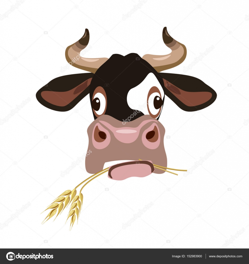 Cow's head vector — Stock Vector © newgena #152983900