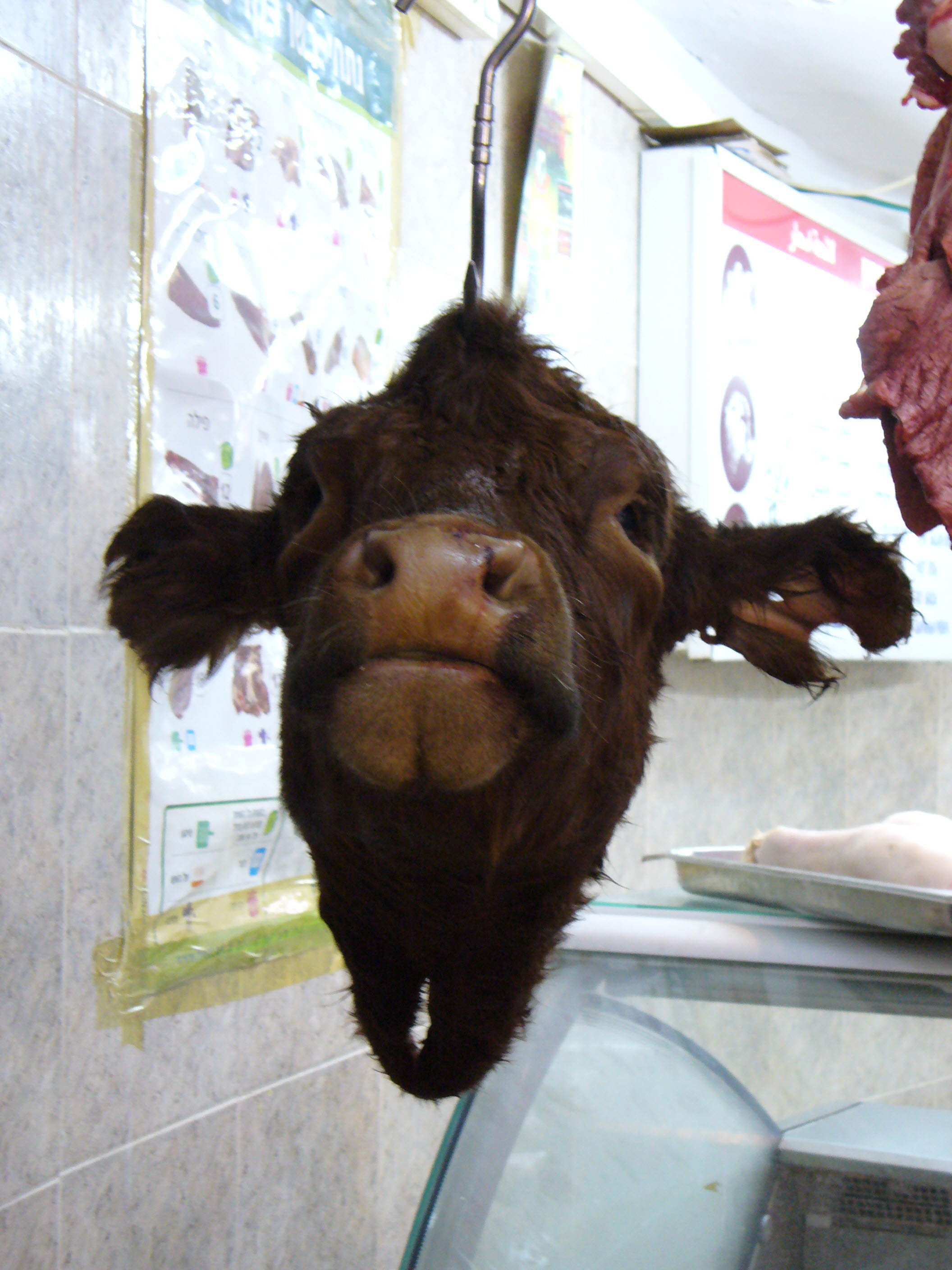 File:Cow's head, butcher shop in Acre, Israel.jpg - Wikimedia Commons