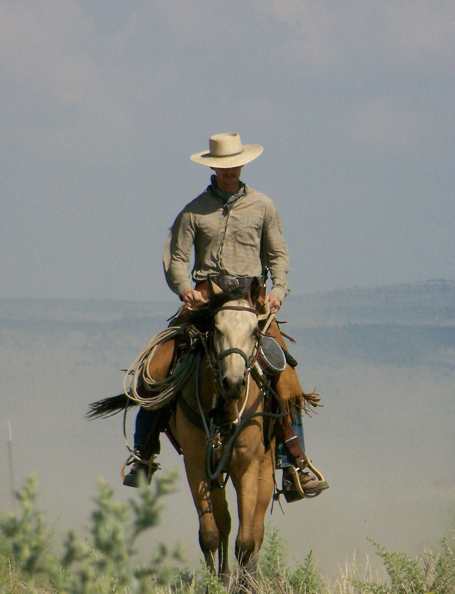 Cowboy Riding Horse | Farms: Horse Training -Foundation Education ...