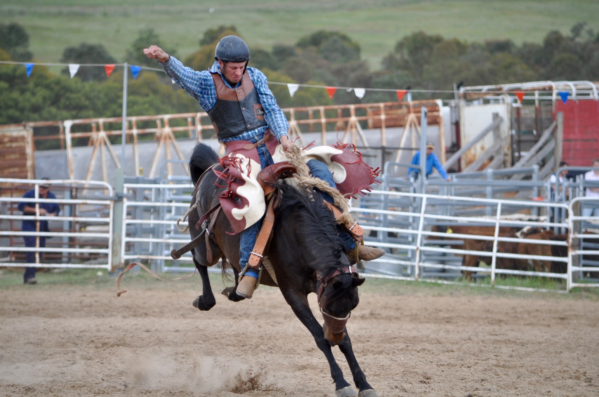 Cowboy riding the horse photo