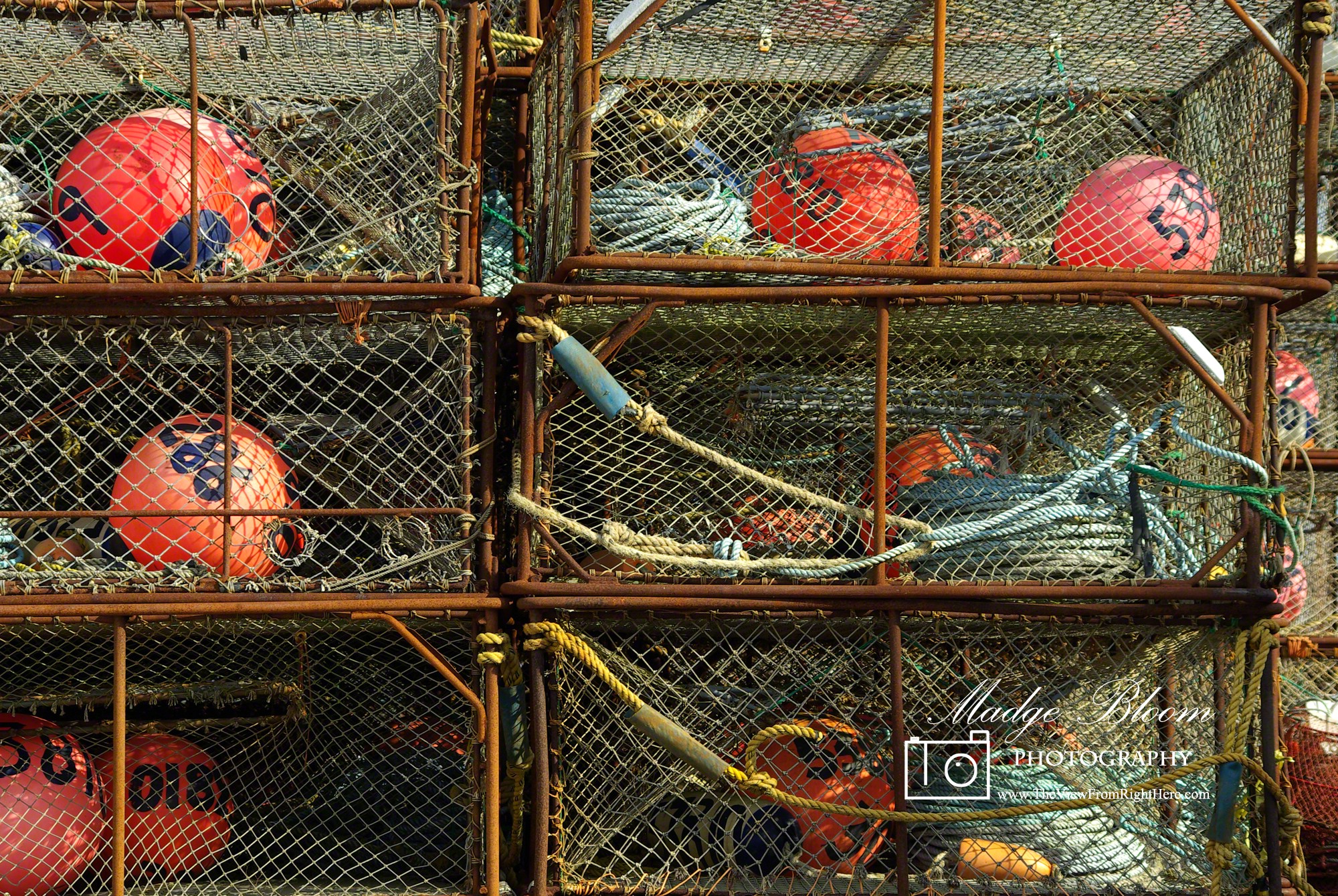 Empty King Crab Pots | The View From Right Here