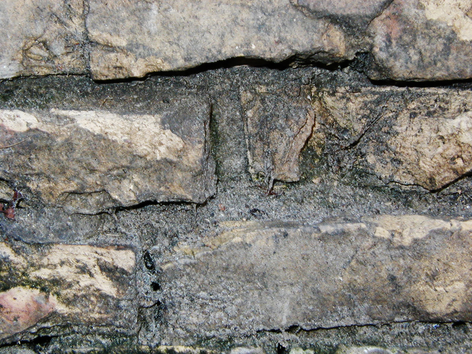 Cracked brick wall photo
