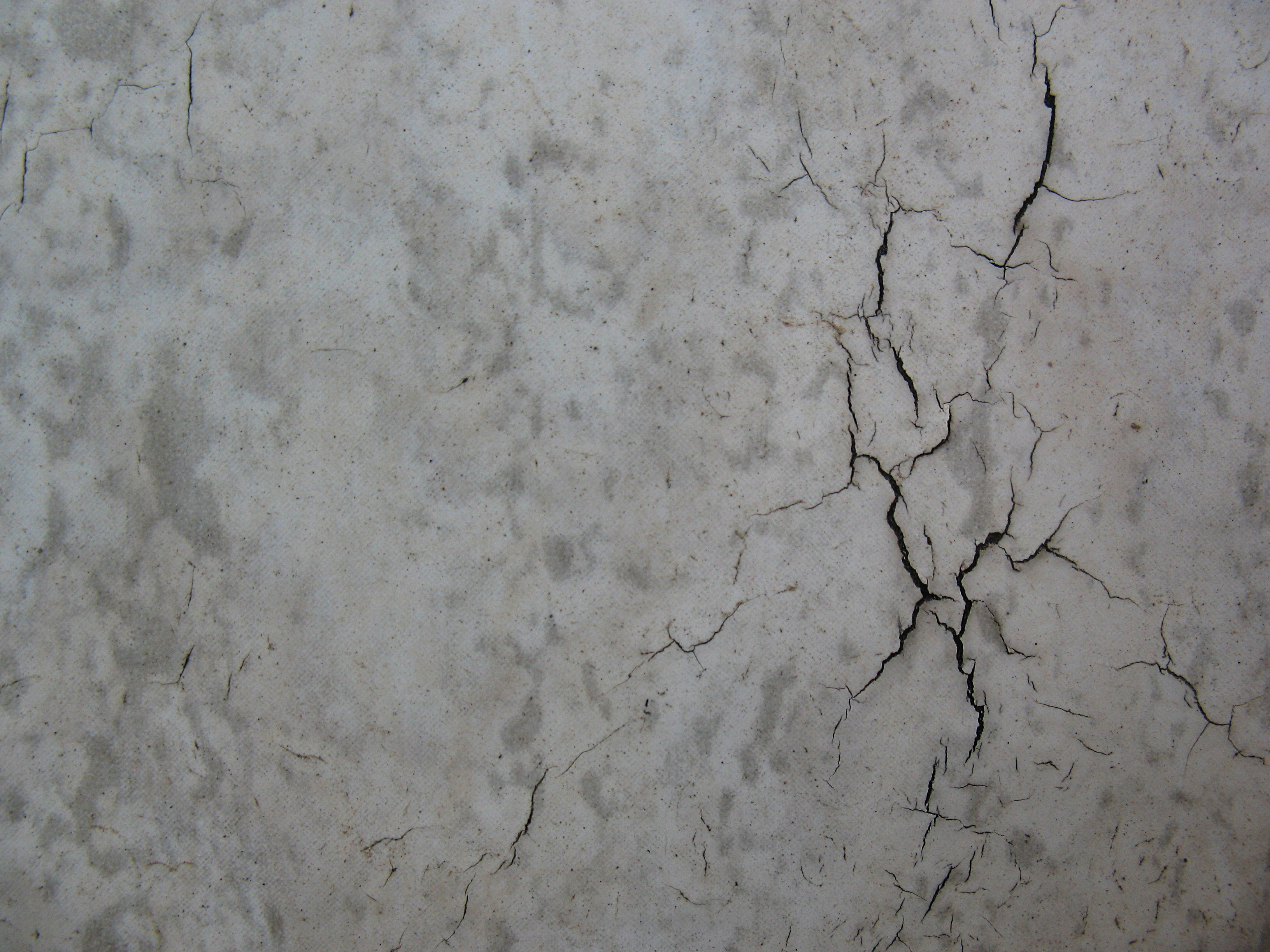 Free Cracked Concrete Texture Texture - L+T