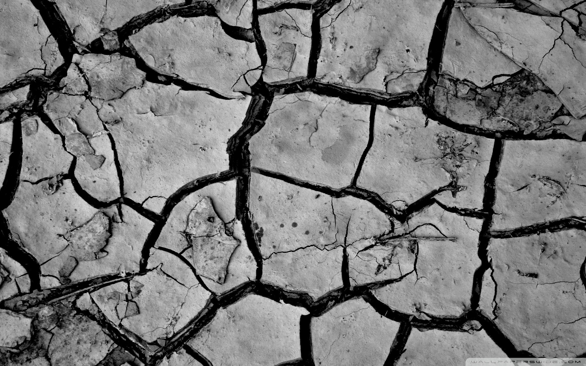Cracked dark mud photo