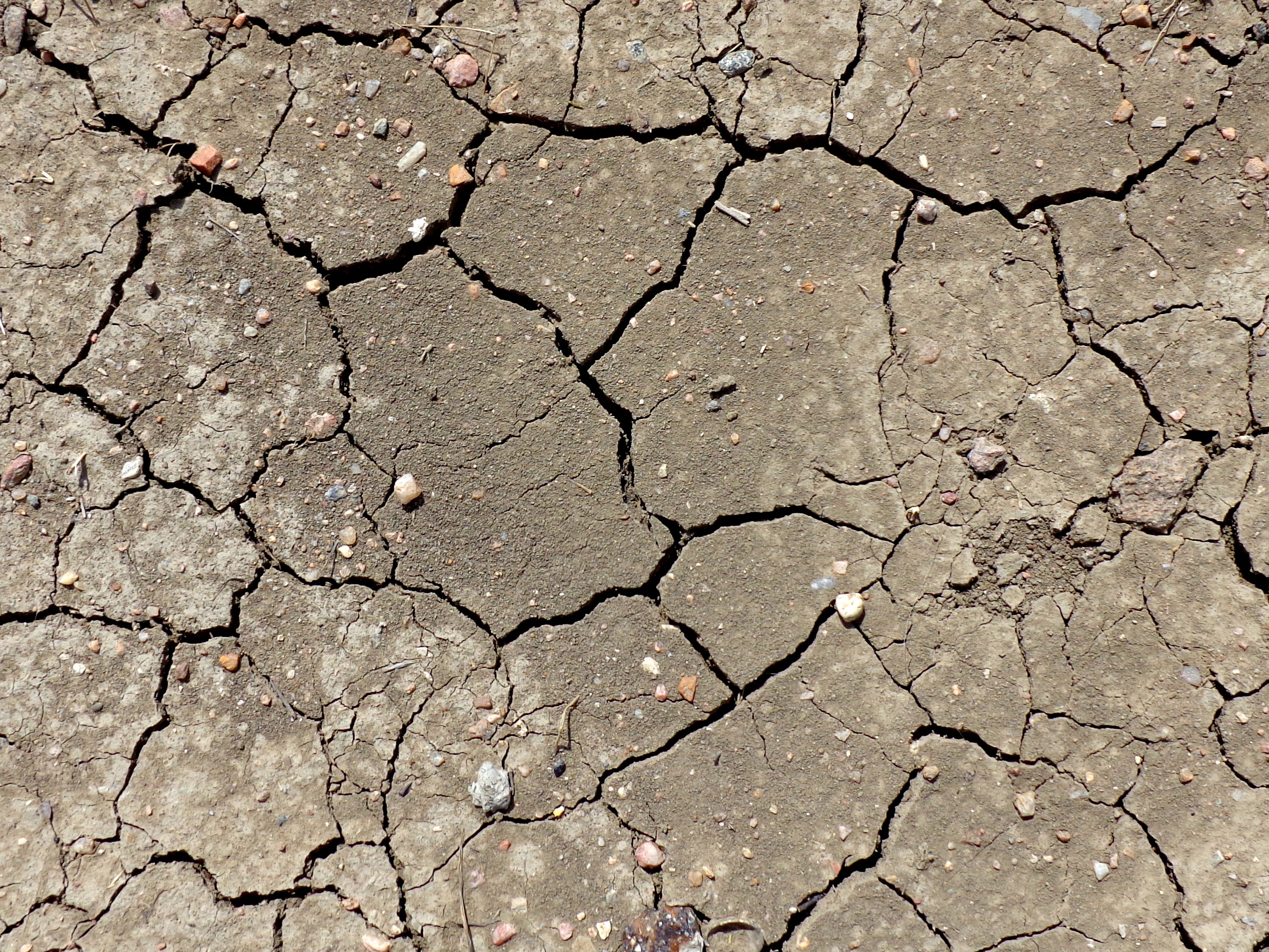 Cracked mud surface photo