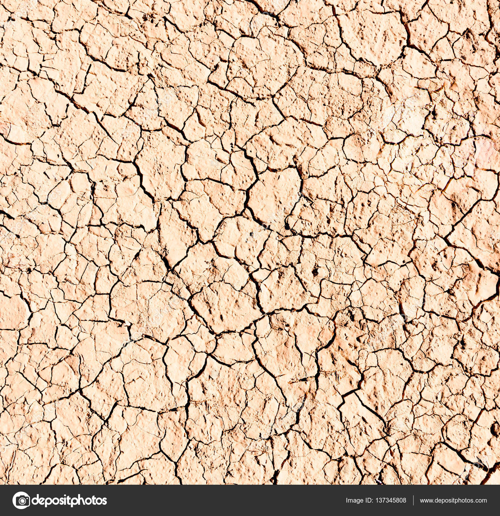 Dry, cracked dirt texture for creative background — Stock Photo ...