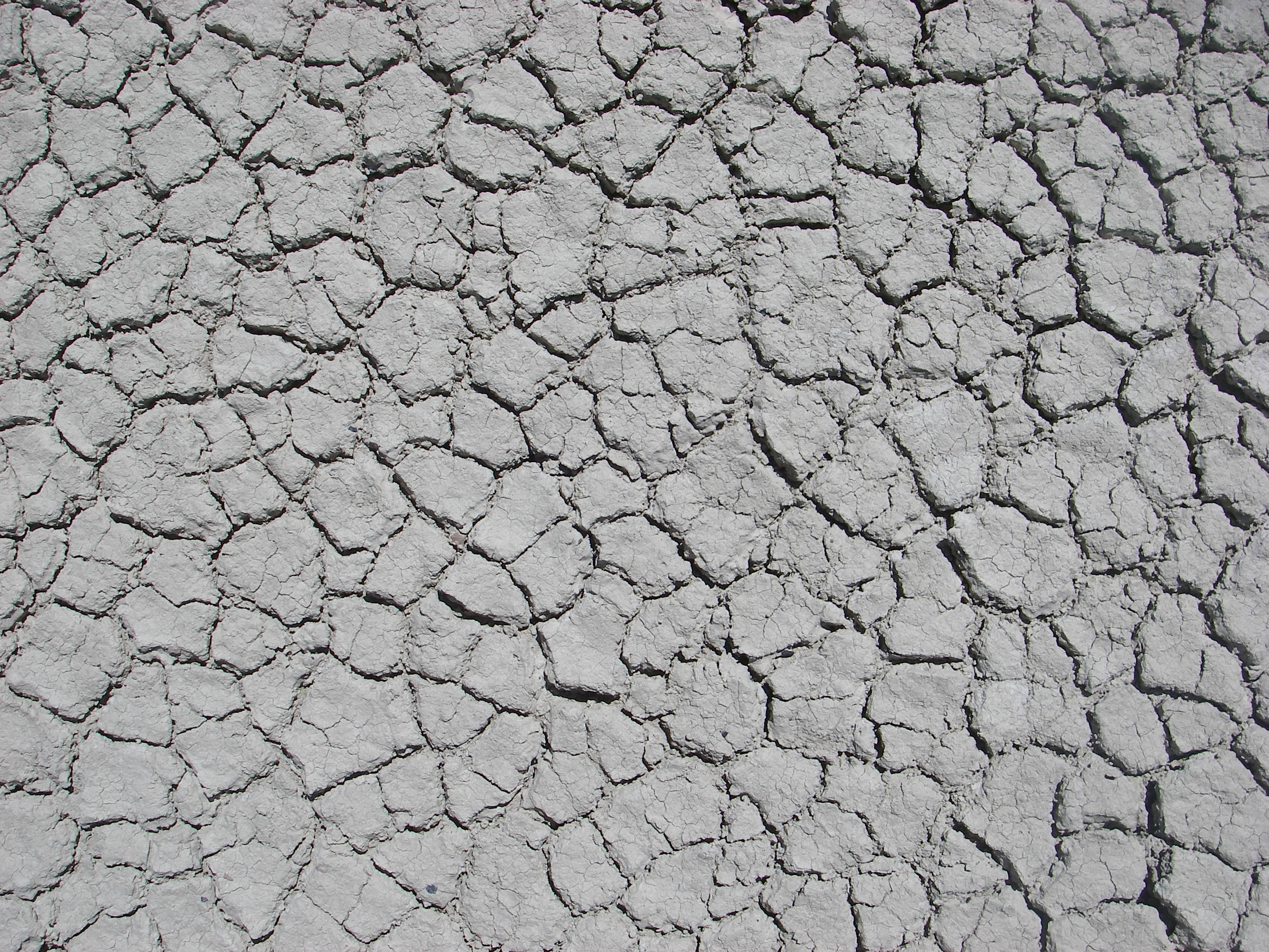 Cracked mud texture photo
