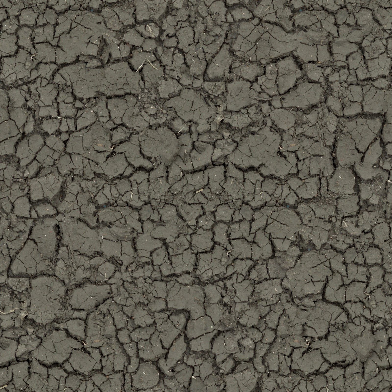 High Resolution Seamless Textures: Mud cracked dirt soil ground texture