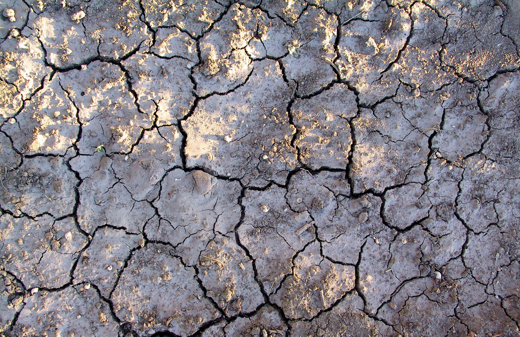 Cracked Mud 14 by Falln-Stock on DeviantArt