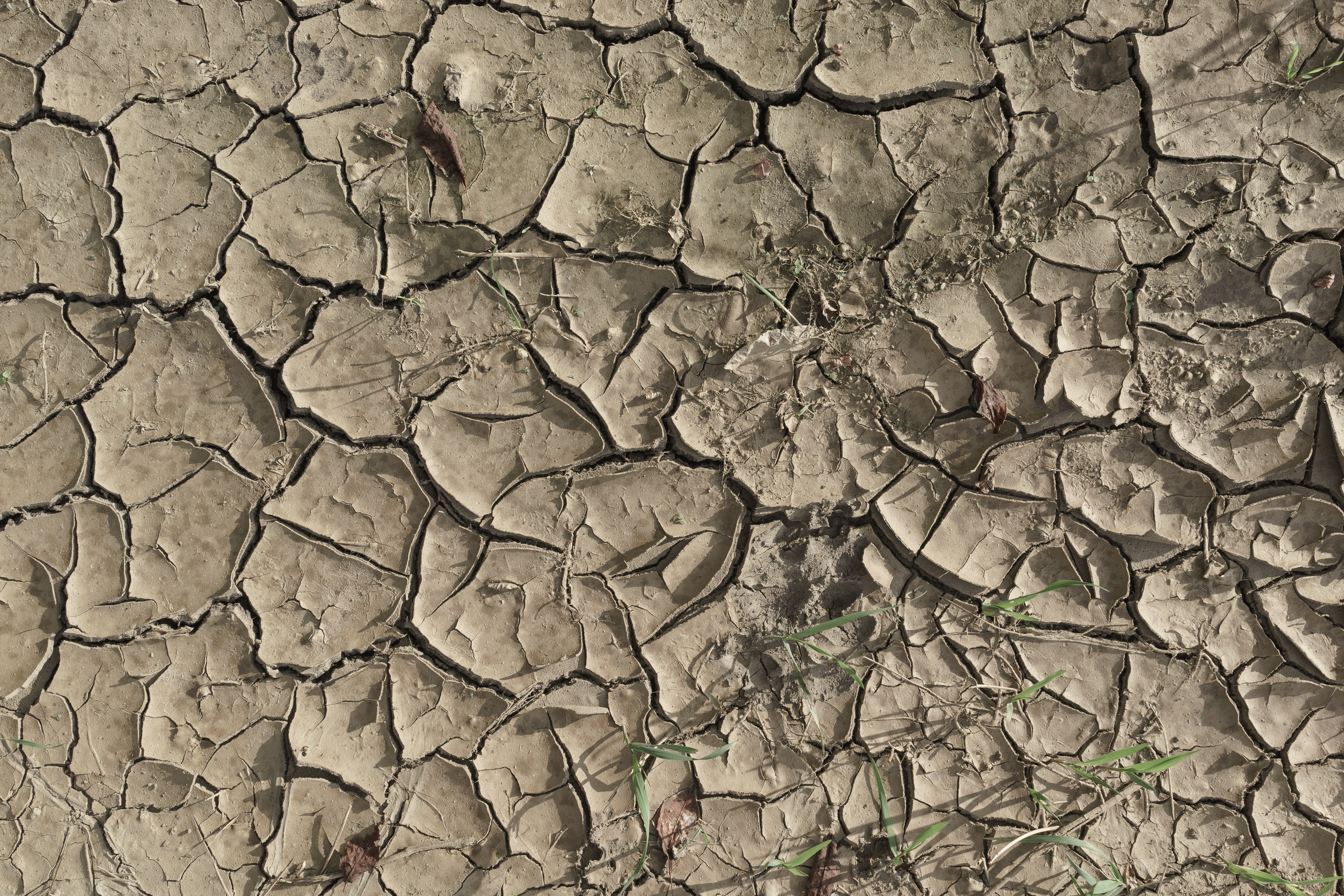 Dried Cracked Mud Texture IV