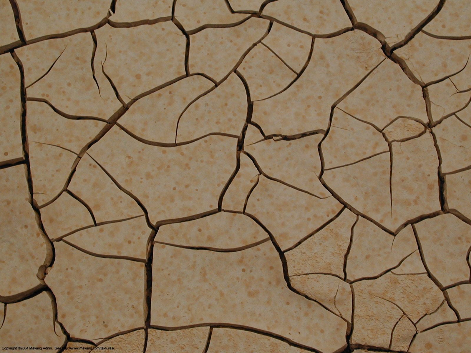 parched cracked mud rainspots. | Textures | Pinterest | Nature ...