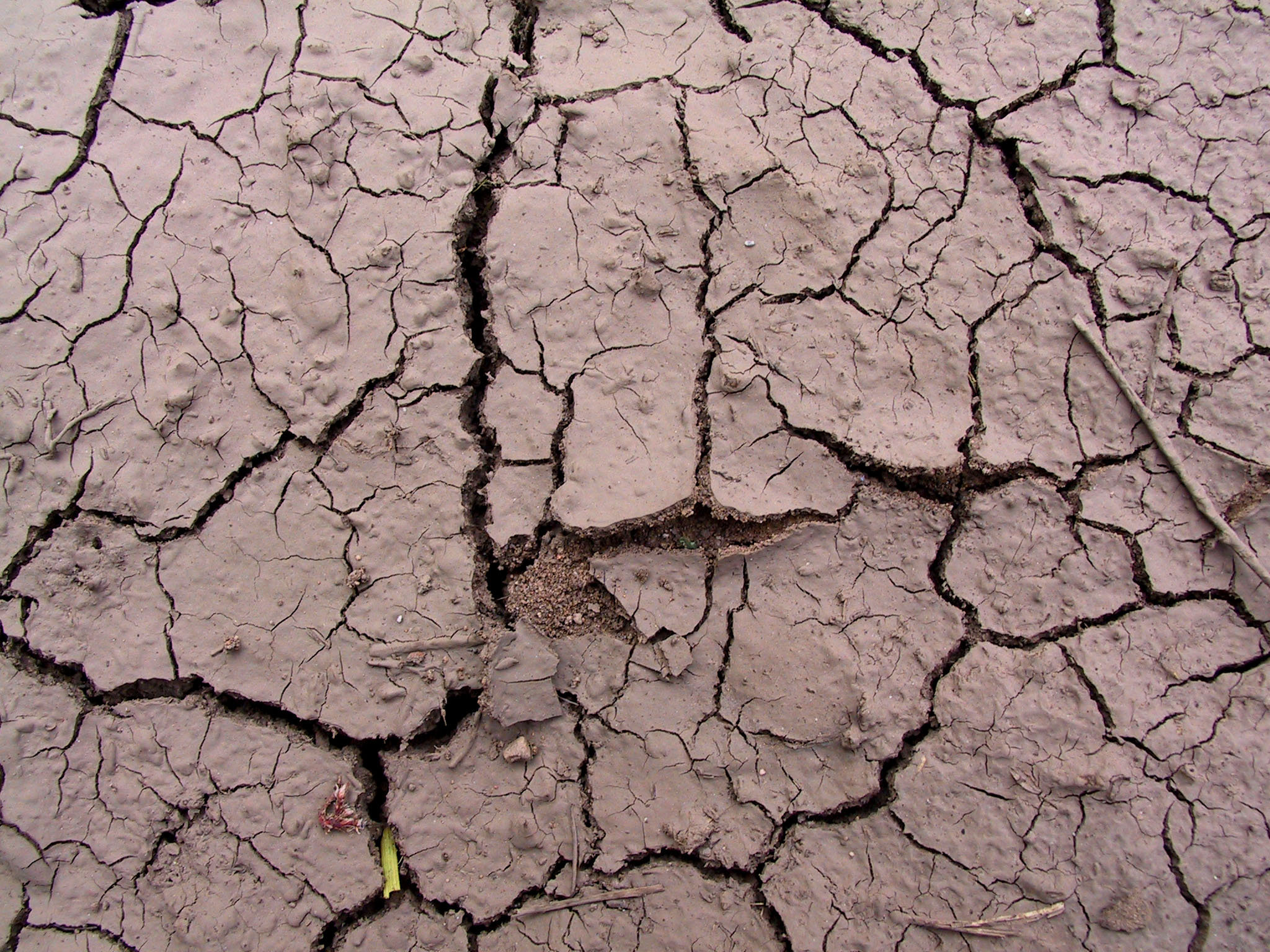 Cracked Mud Payson 1 by Falln-Stock on DeviantArt