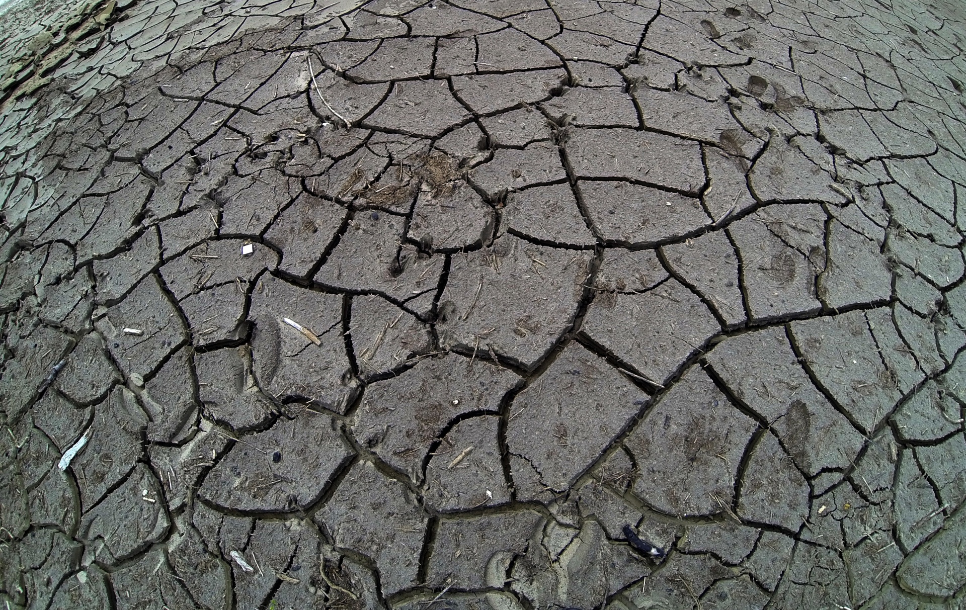 Cracked Mud Background Free Stock Photo - Public Domain Pictures