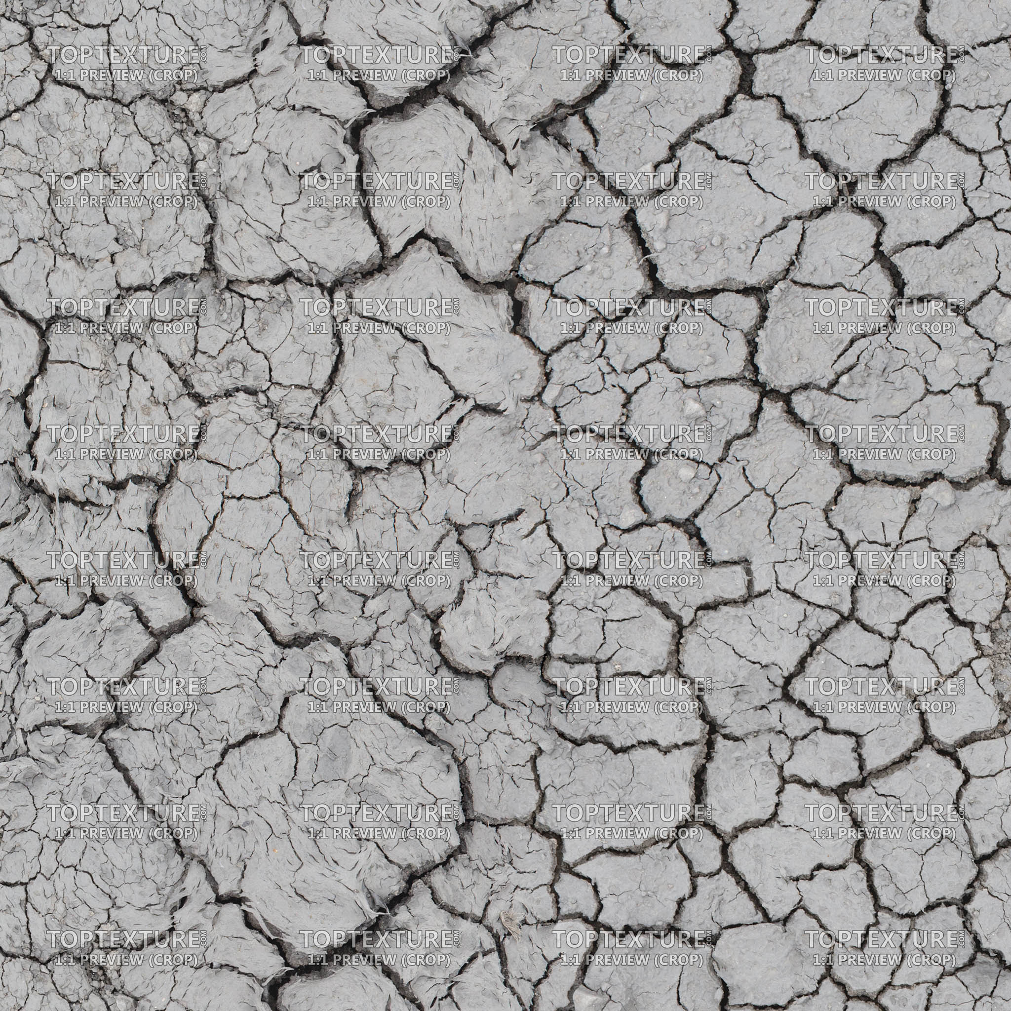 Dry Cracked Grey Ground - Top Texture