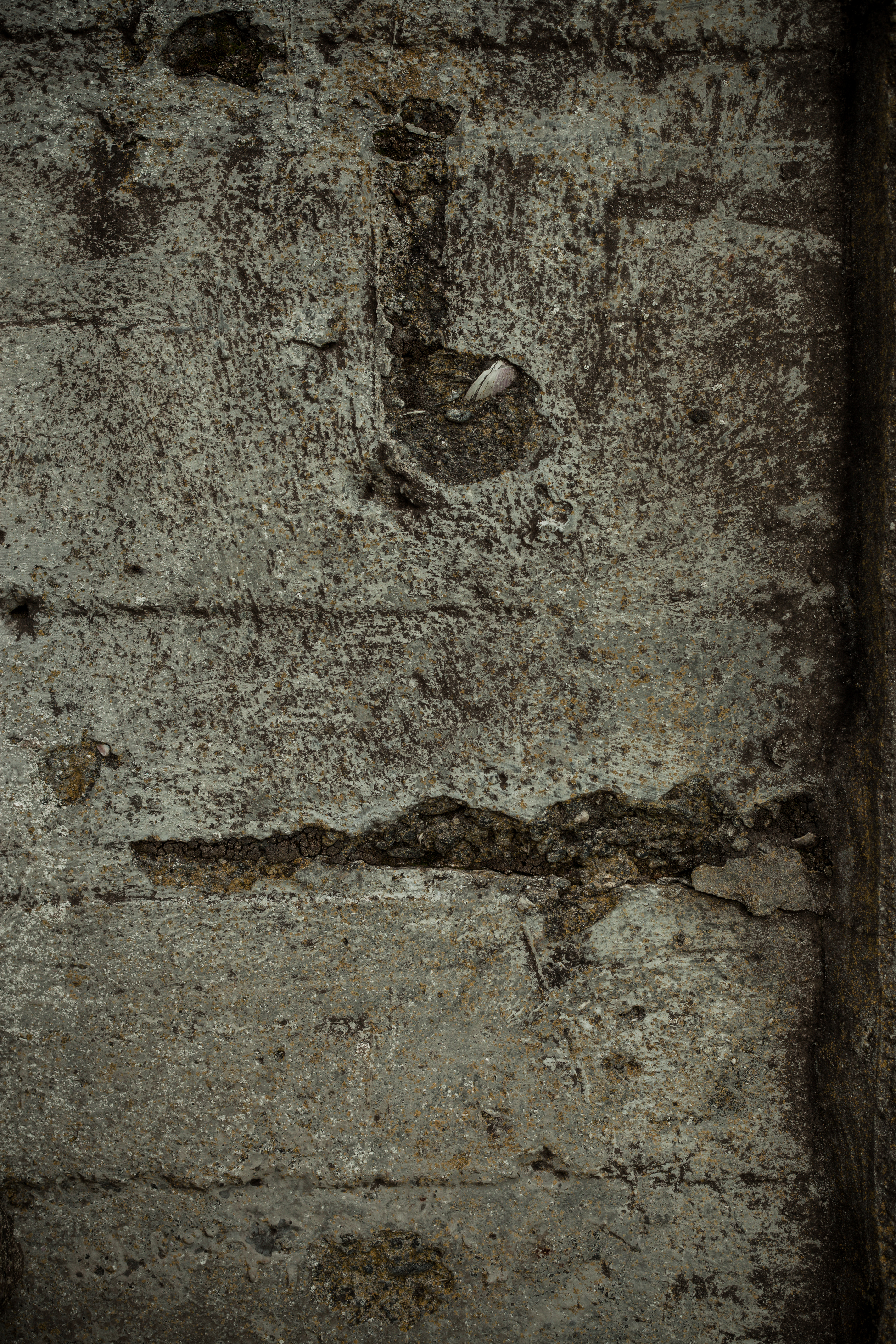 Cracked Old Concrete Wall Texture, Chipped, Concrete, Cracked, Dark, HQ Photo