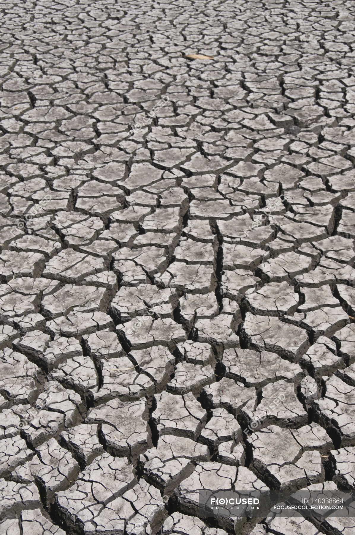 Cracked river bed in drought — Stock Photo | #140338864