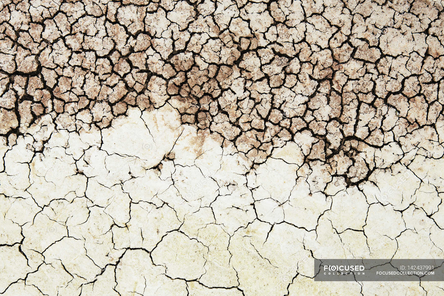 Cracked parched soil surface — Stock Photo | #142437991