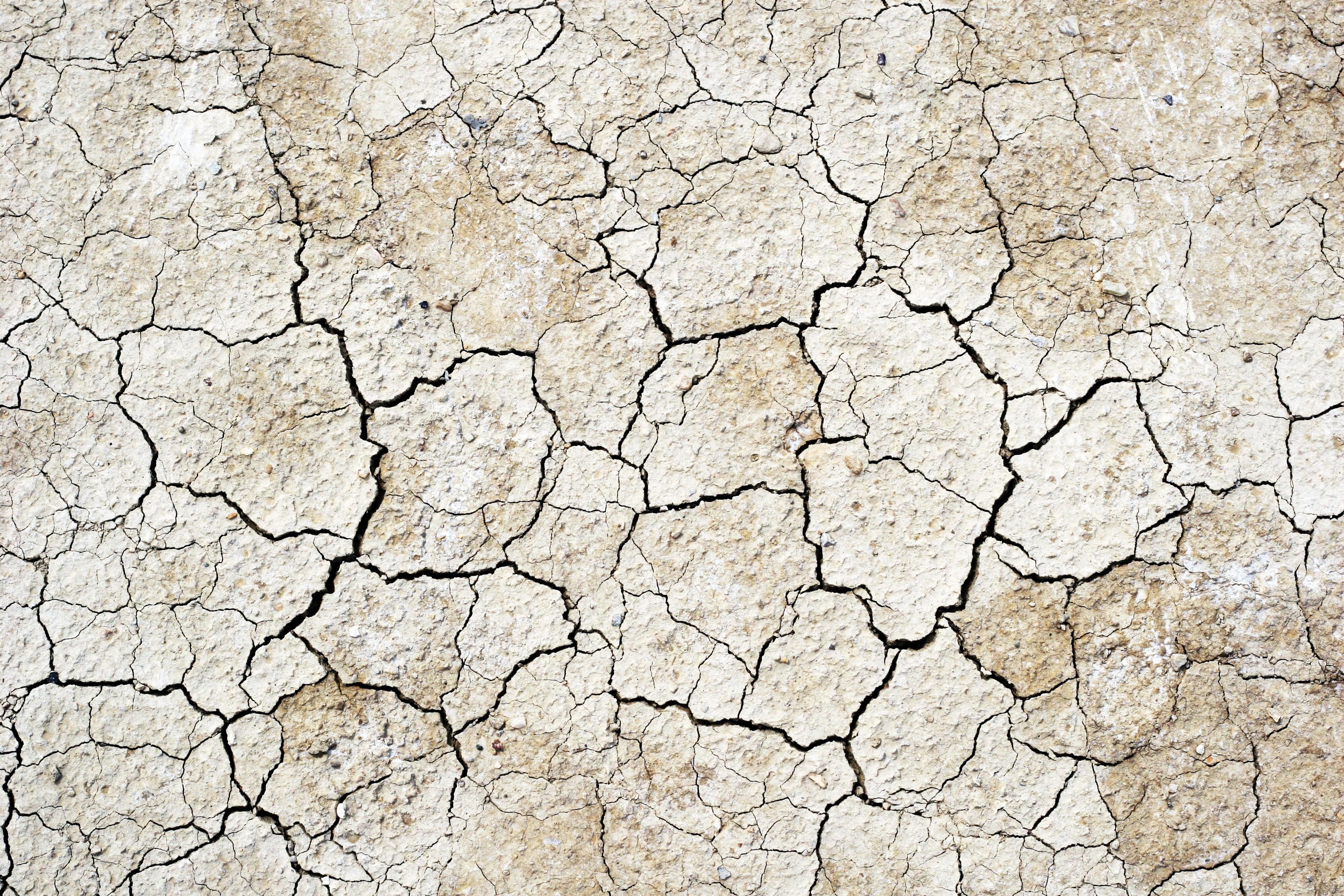 Soil Ground Background One | Photo Texture & Background | cms final ...