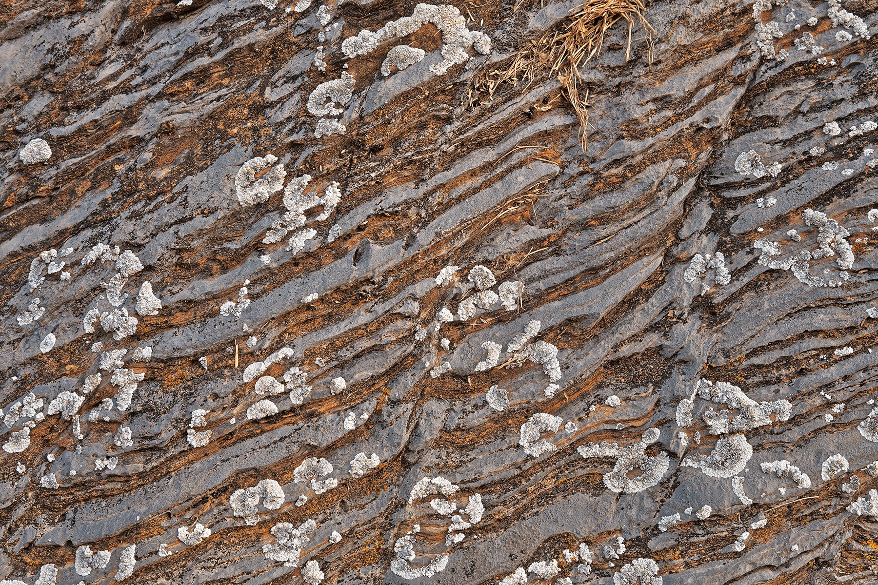 Cracked stone striations - hdr texture photo