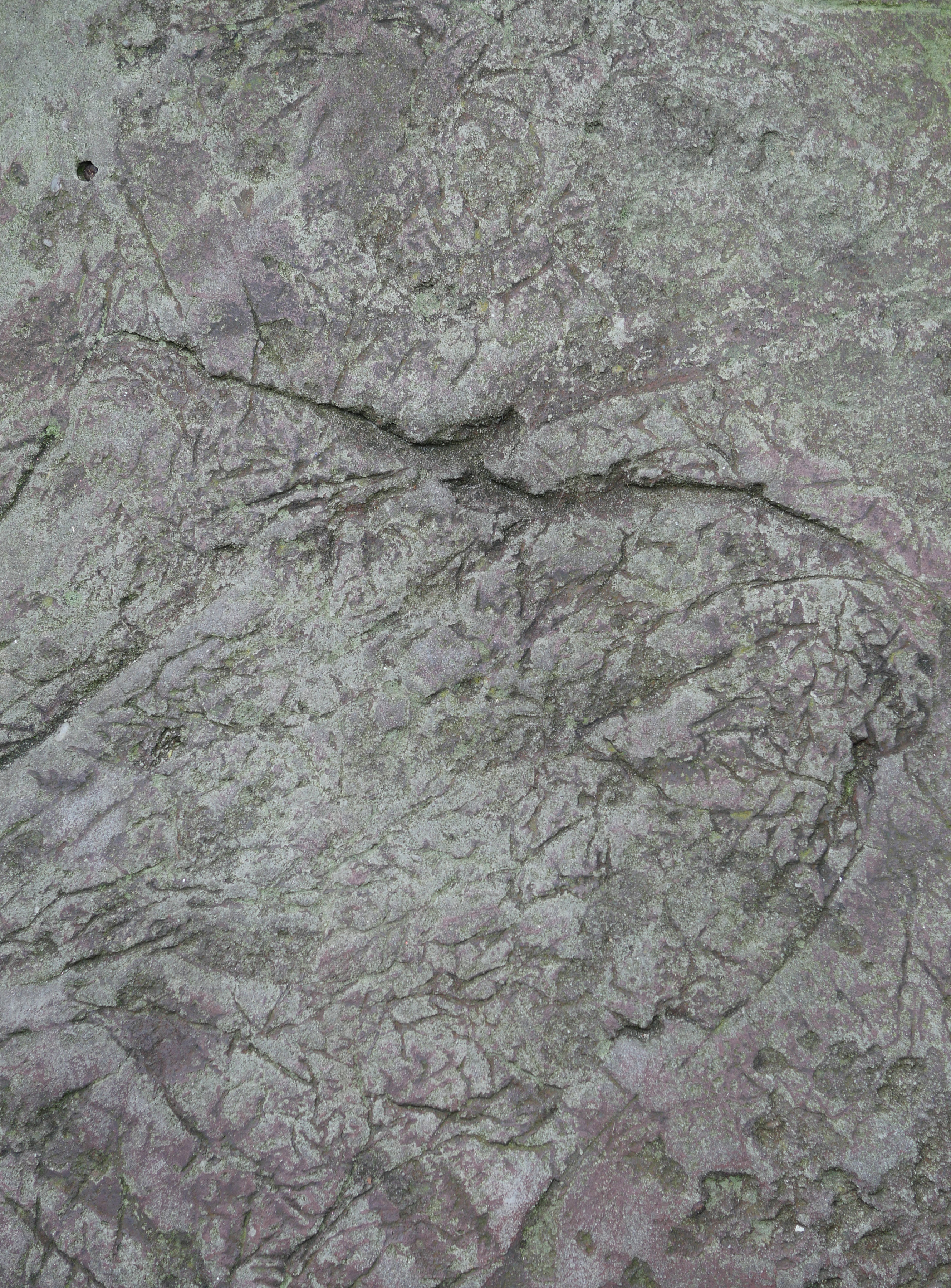 Gray Cracked Stone Texture - 14Textures