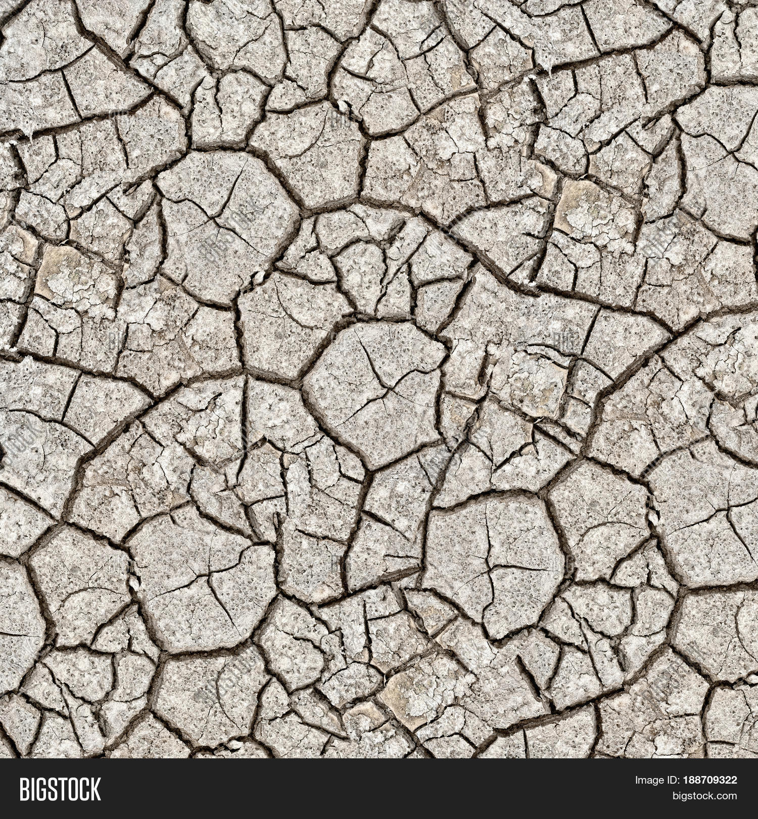 Texture Cracked Dry Surface Earth. Image & Photo | Bigstock