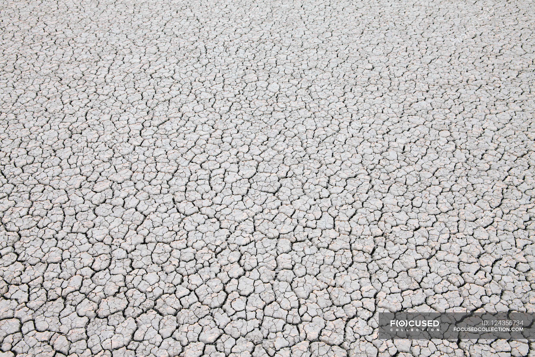 Dry cracked desert surface — Stock Photo | #124356734