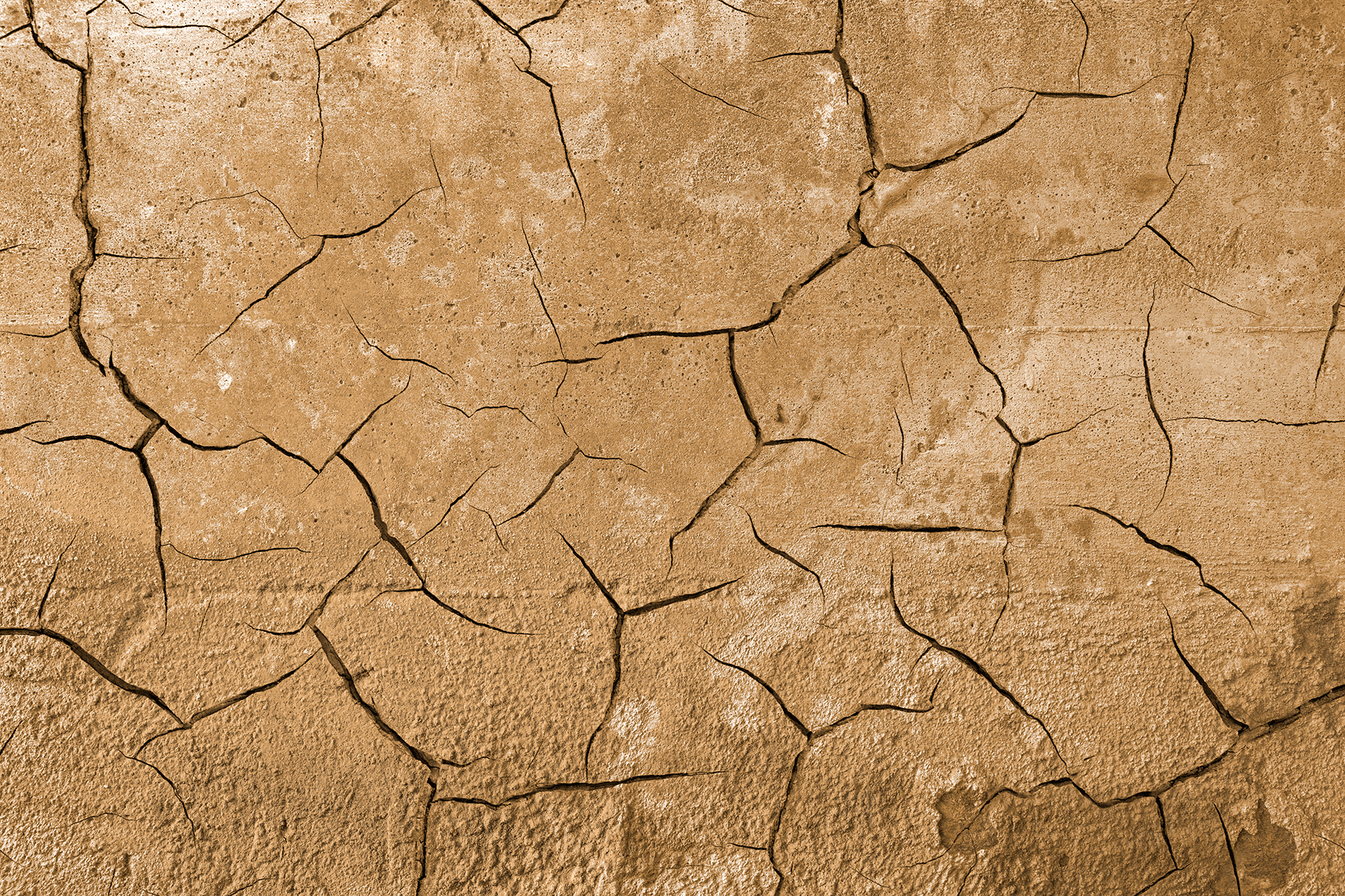 Cracked Wall Decay - Photomanipulated Texture, Age, Grungy, Monochrome, Monochromatic, HQ Photo