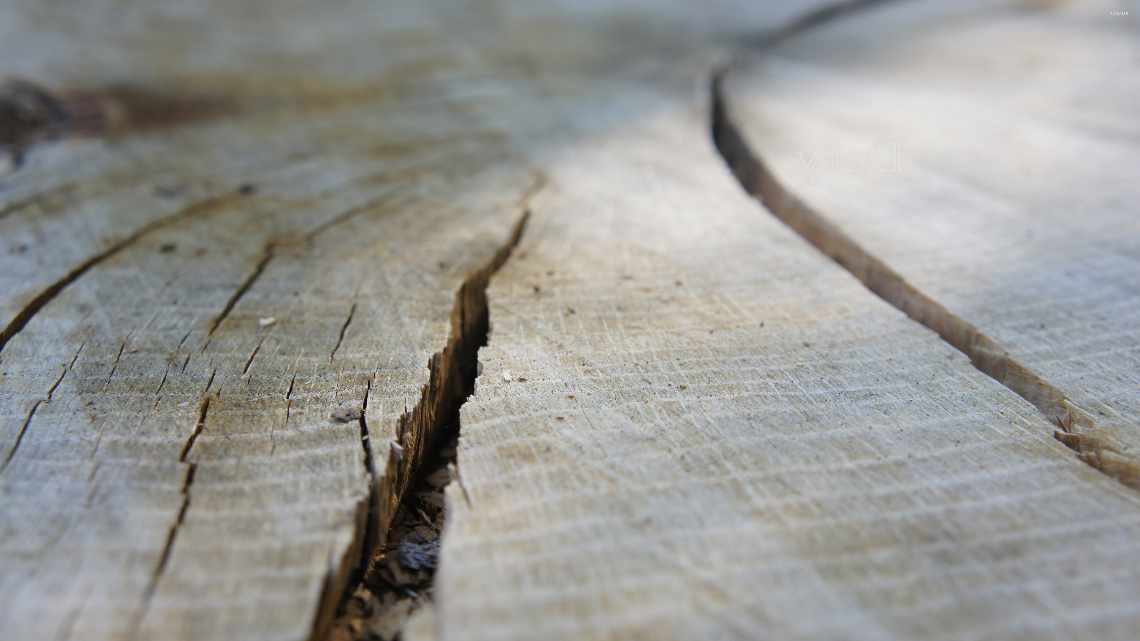 Cracked wood wallpaper - Photography wallpapers - #33482