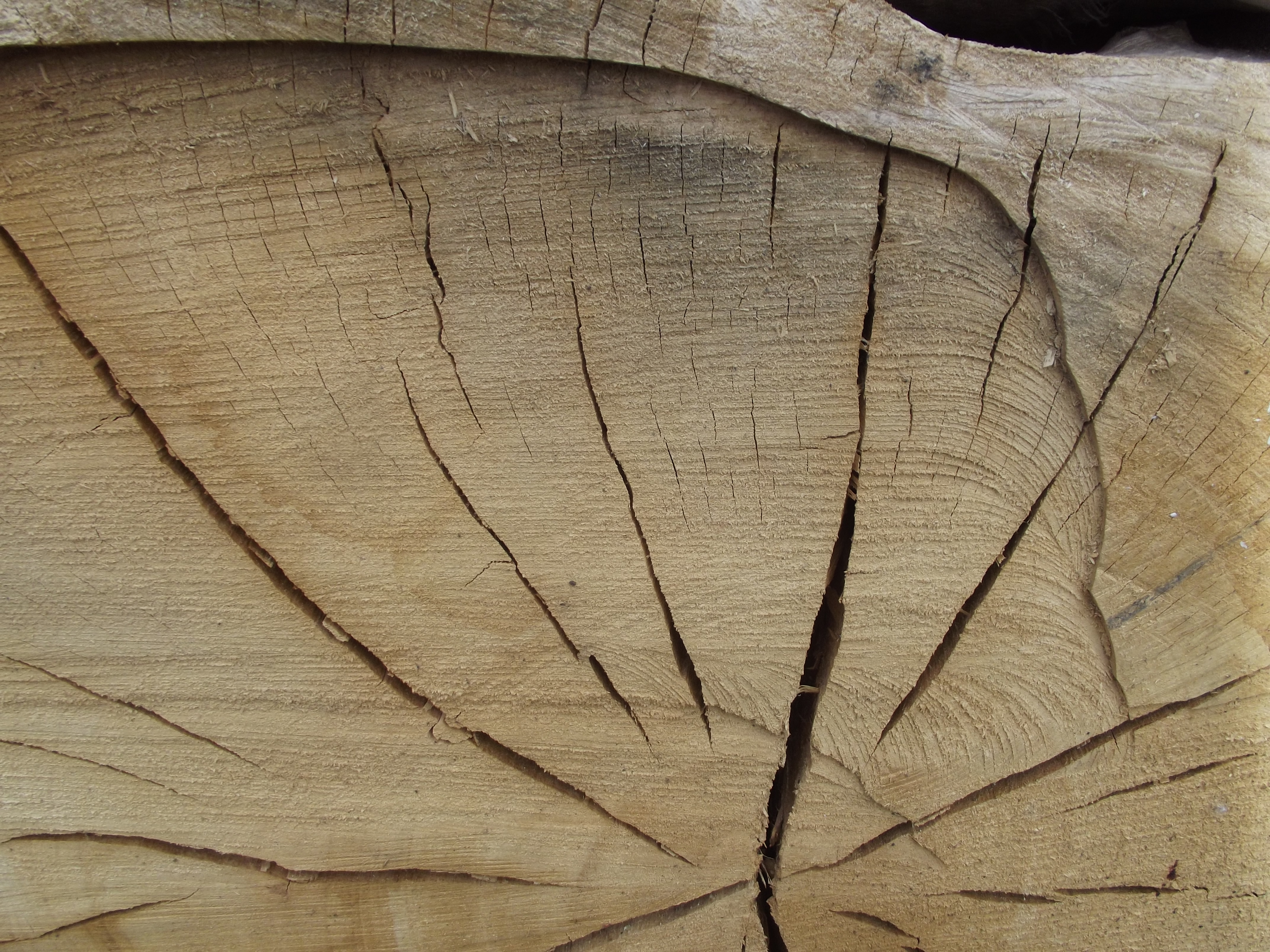 Cracked Wood, Cracked, Dry, Stump, Texture, HQ Photo