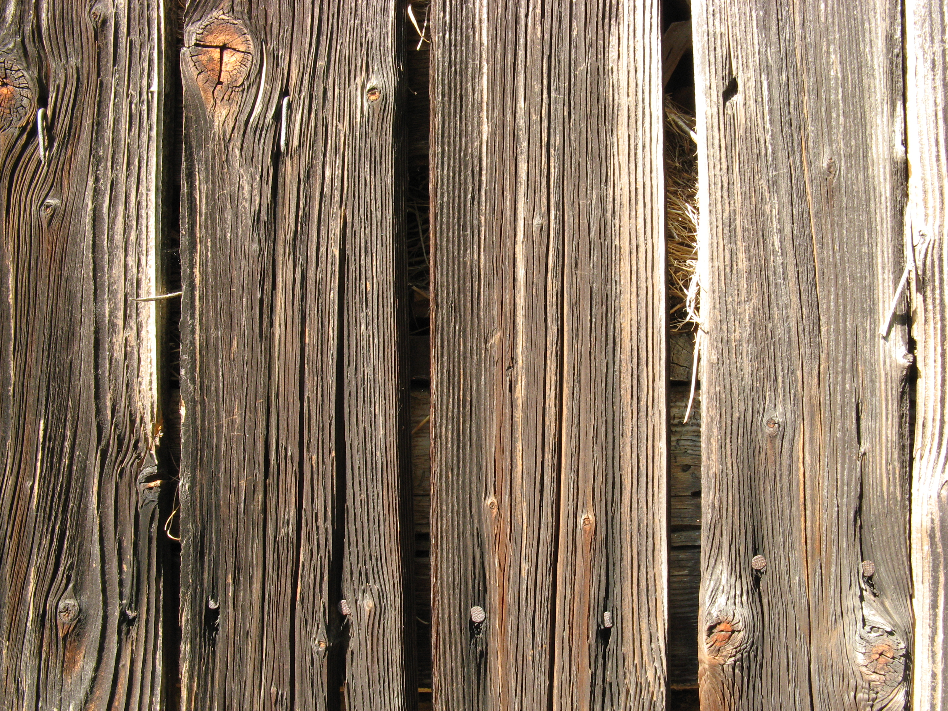 Free Wood texture (plank, board, crack)